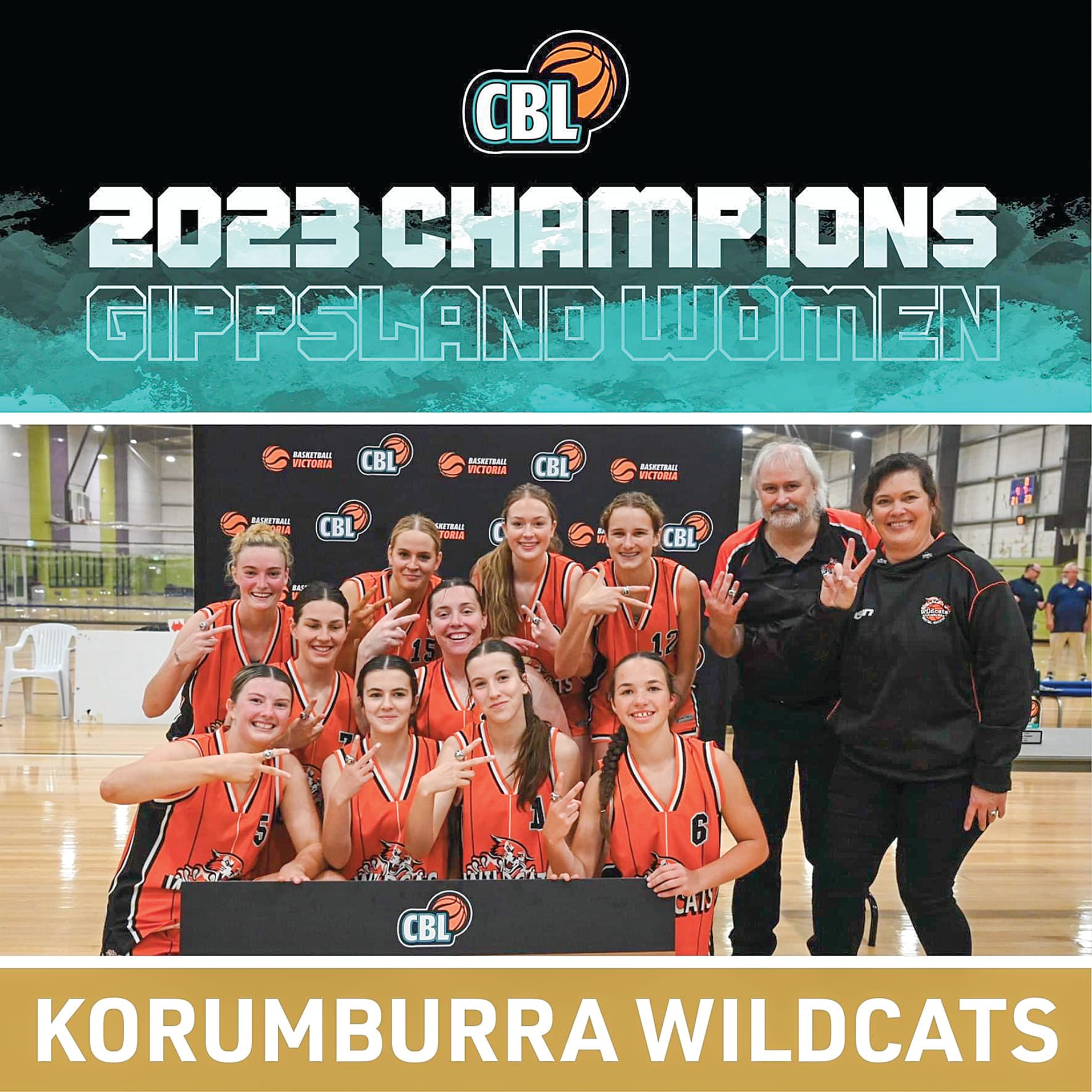 Wildcats shine on the court