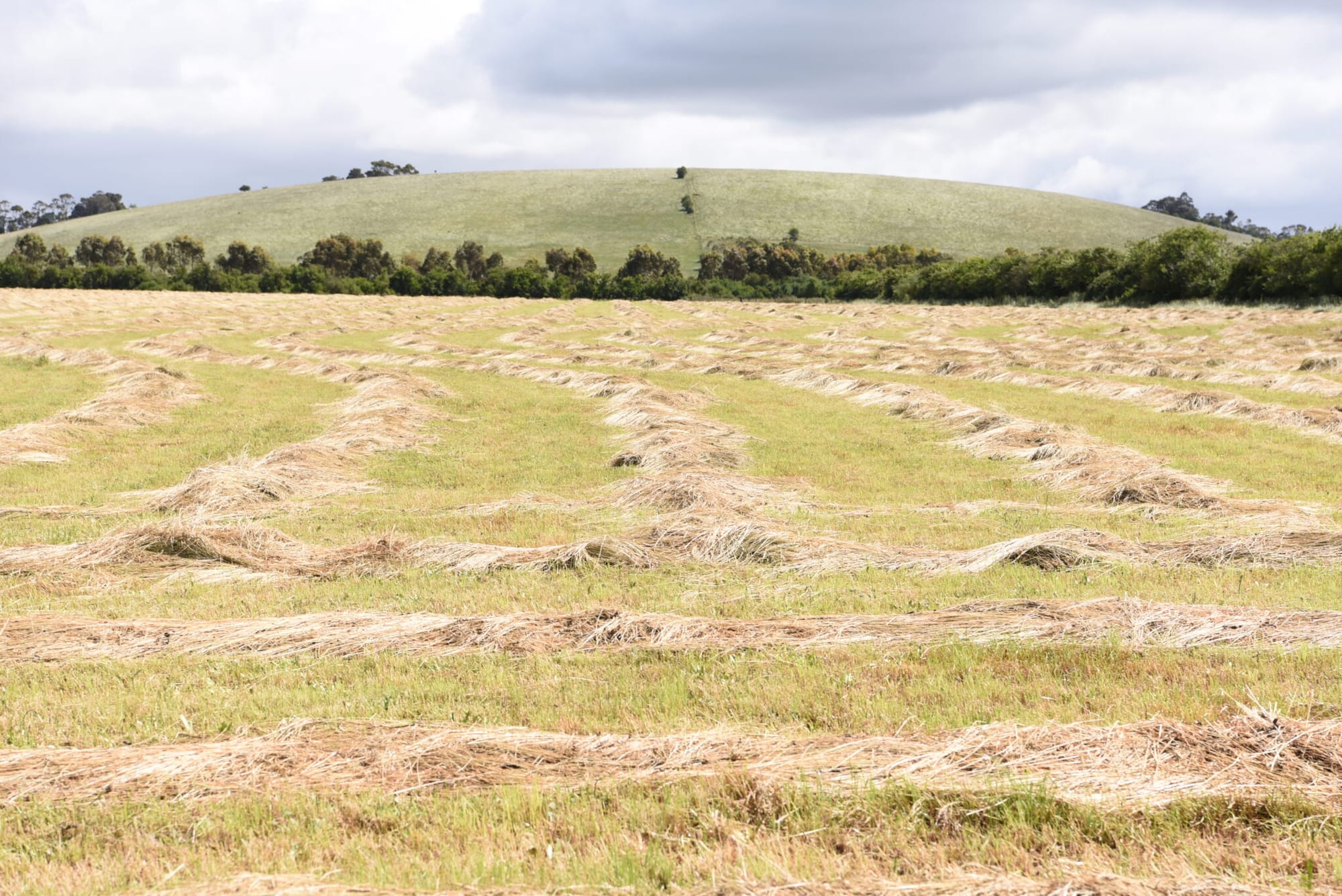 VPA said nothing about environmental audits for Wonthaggi