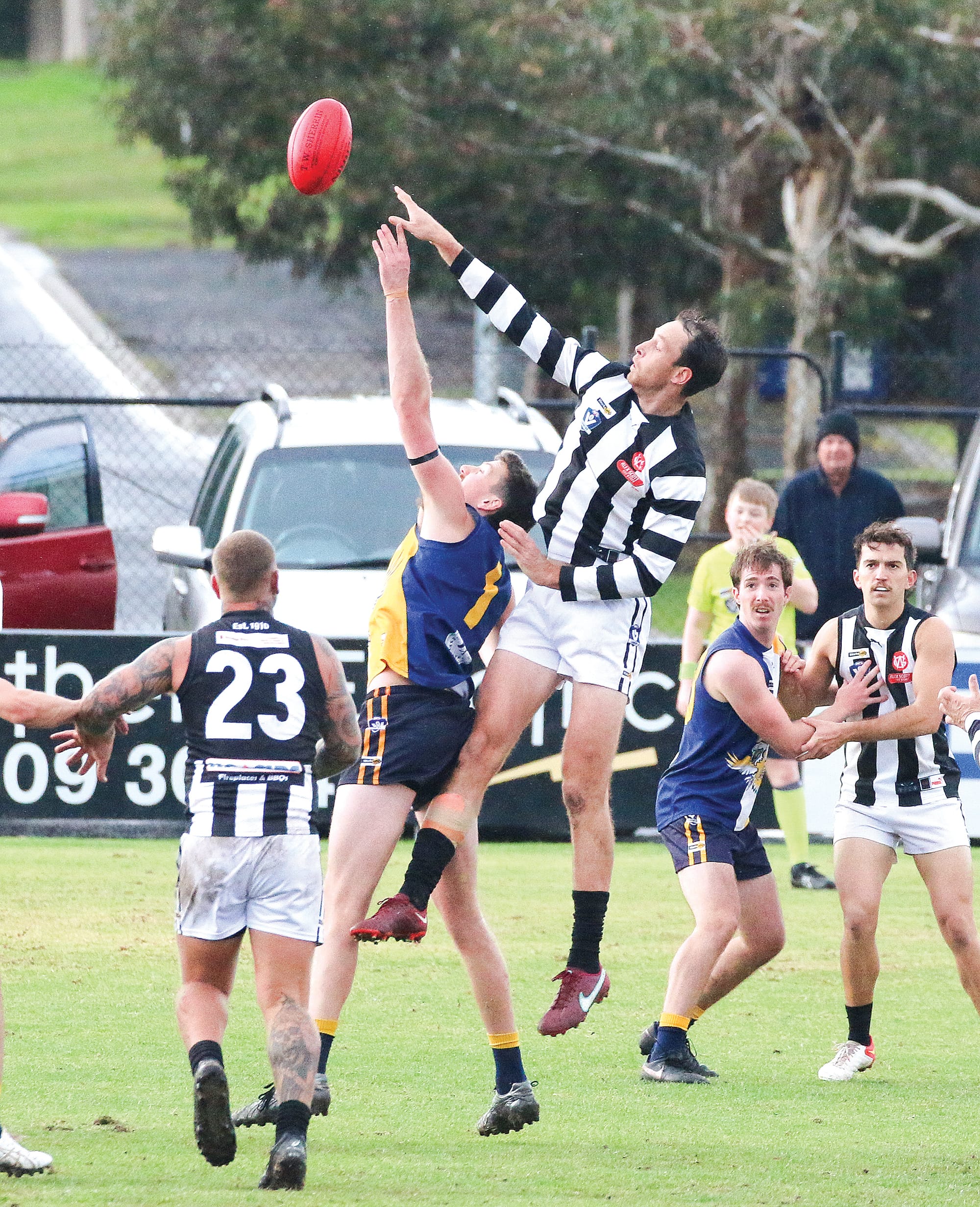 Ruckmen Joseph Newell for the Sea Eagles and Kurt Thomas for Dalyston contest the boundary throw-in.  ob11_2325