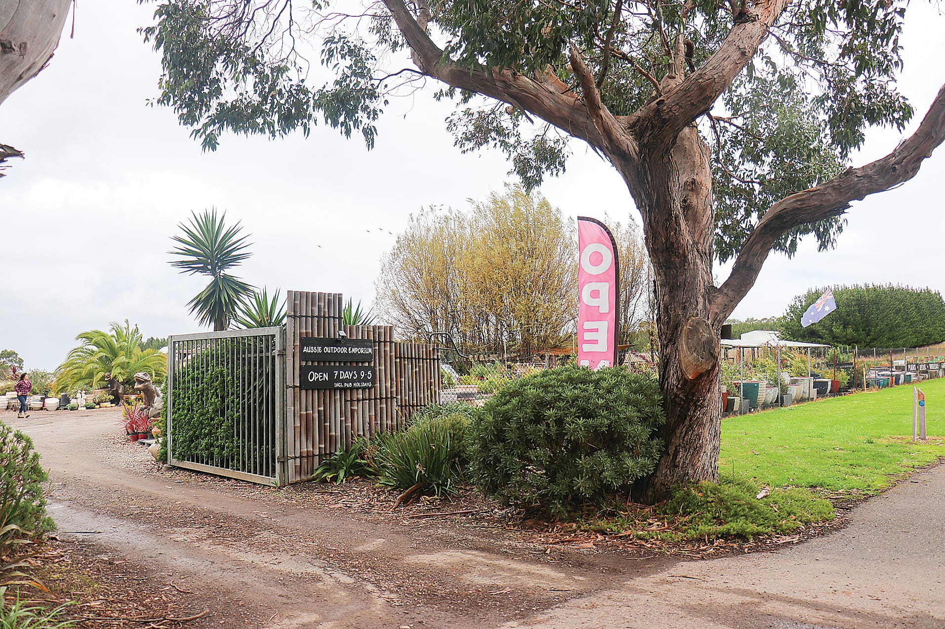 Council withdraws $230,772 ‘illegal’ business penalty for now