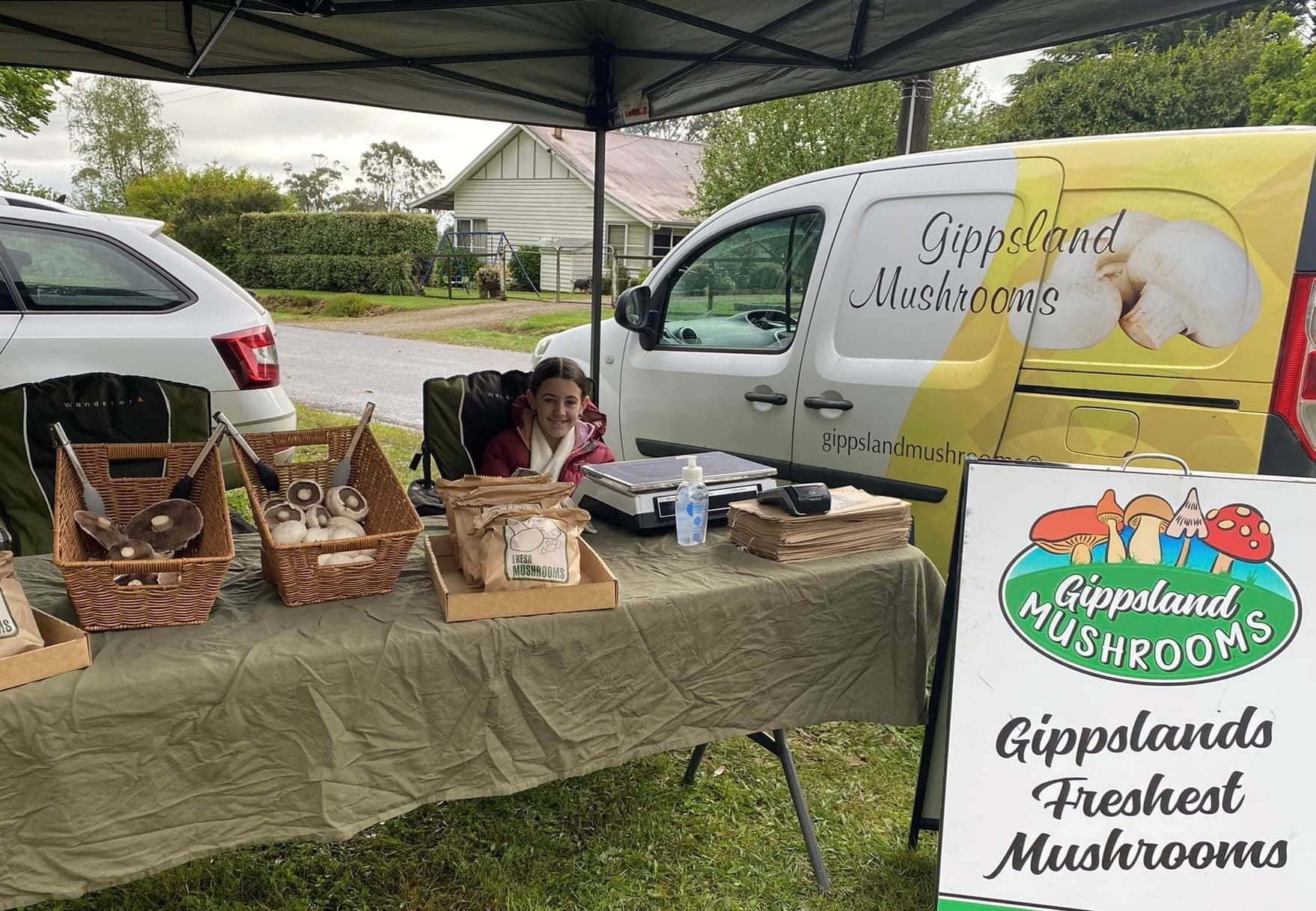 ‘Absolutely’ nothing wrong with our mushrooms, they say