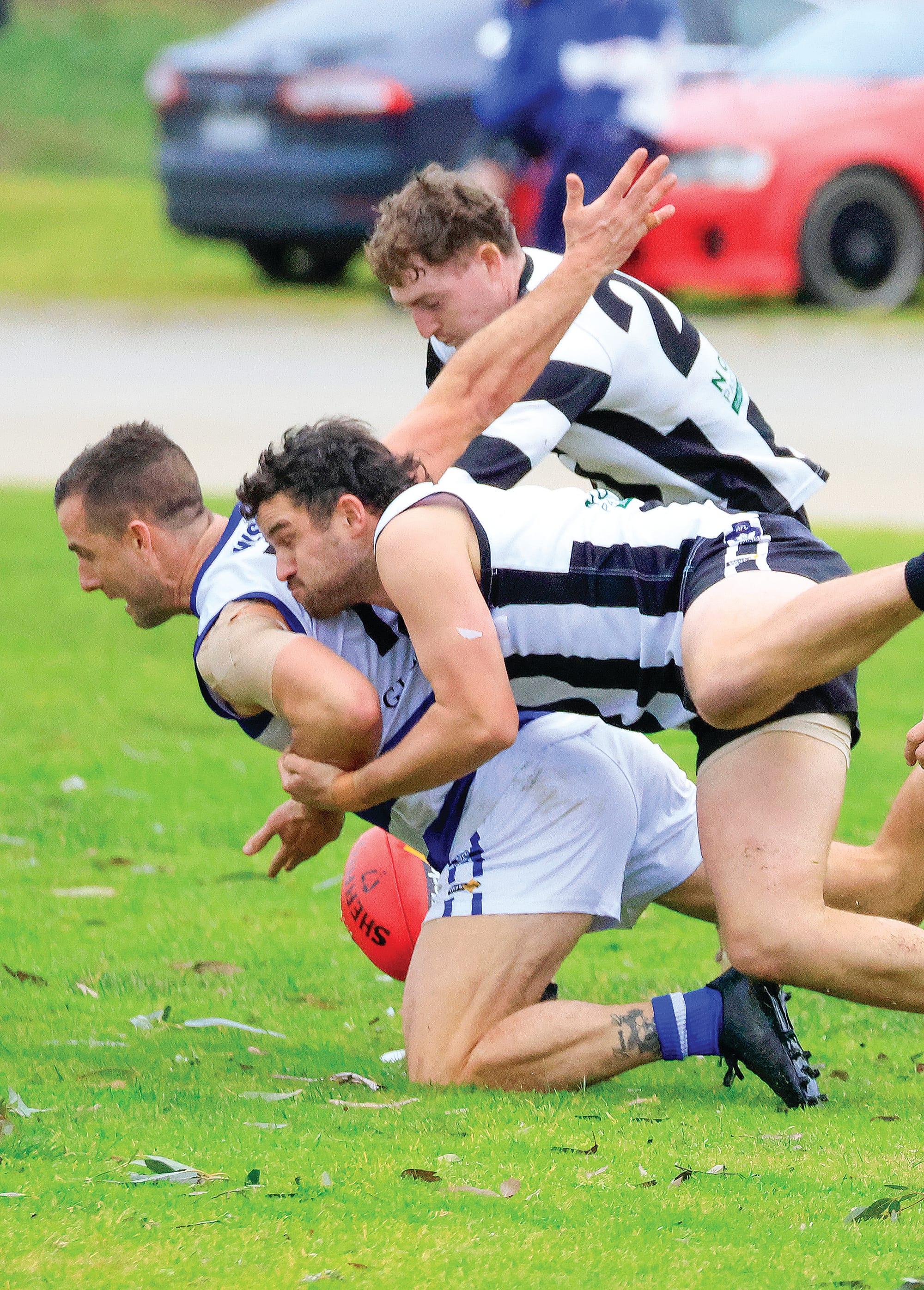 Joel Norton tackes his Cats opponent to the ground. Photo: Jeff Tull. 
