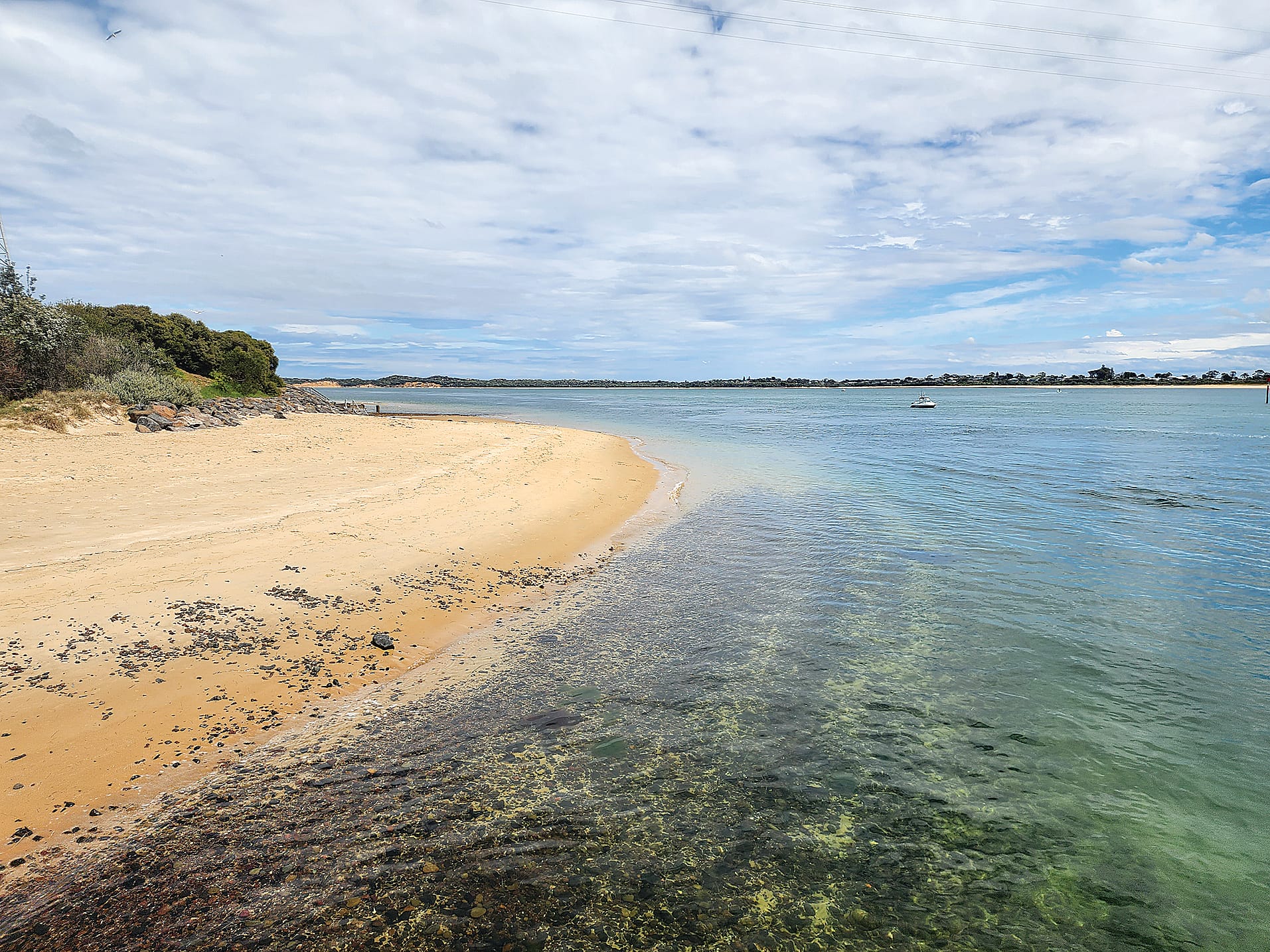 Organisations unite to protect Western Port Bay