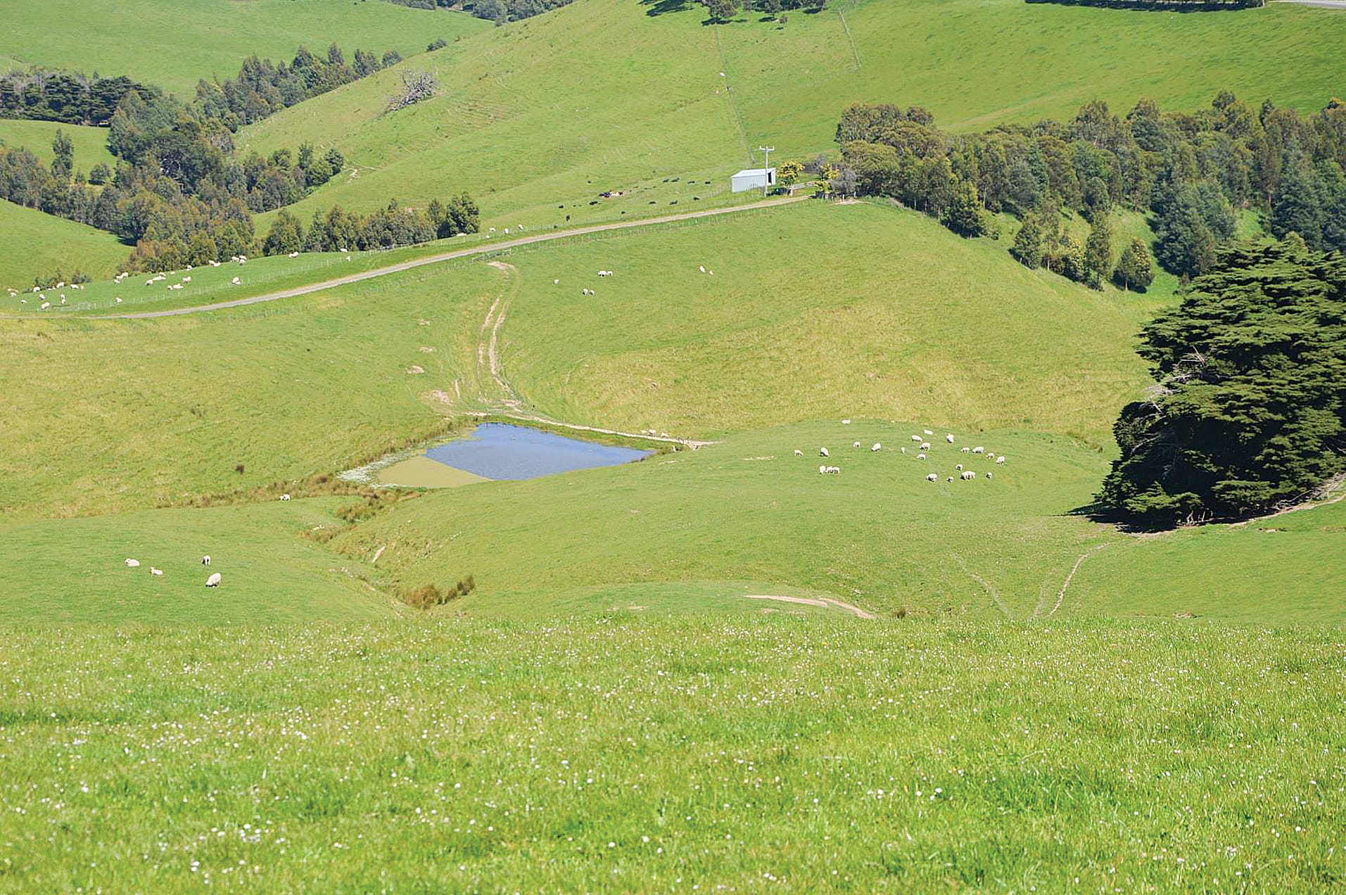 Breathtaking views on 305-acre grazing haven