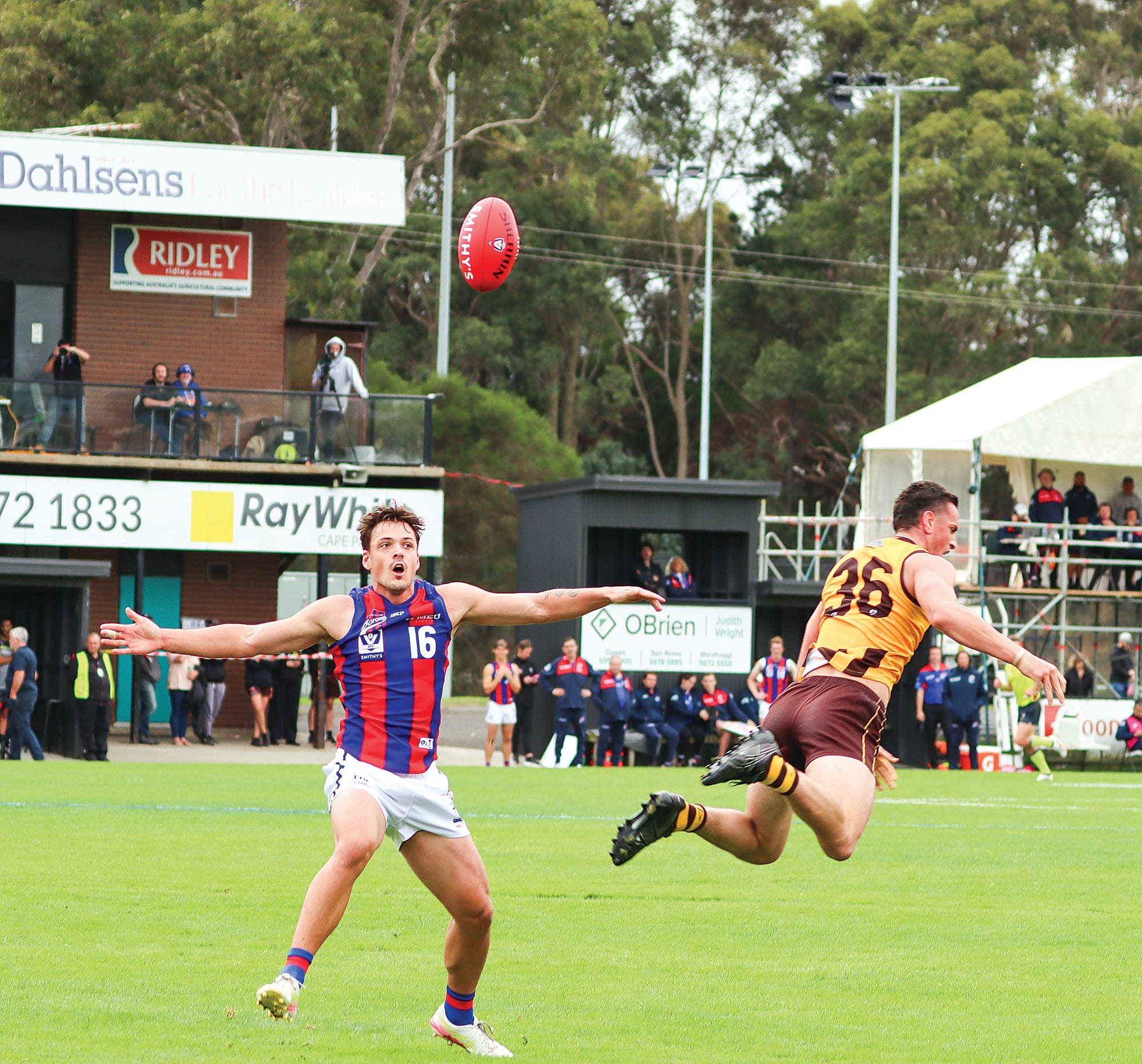 Archi Manton of Port Melbourne has eyes for the footy as Hawk James Blanck takes flight. A51_1725