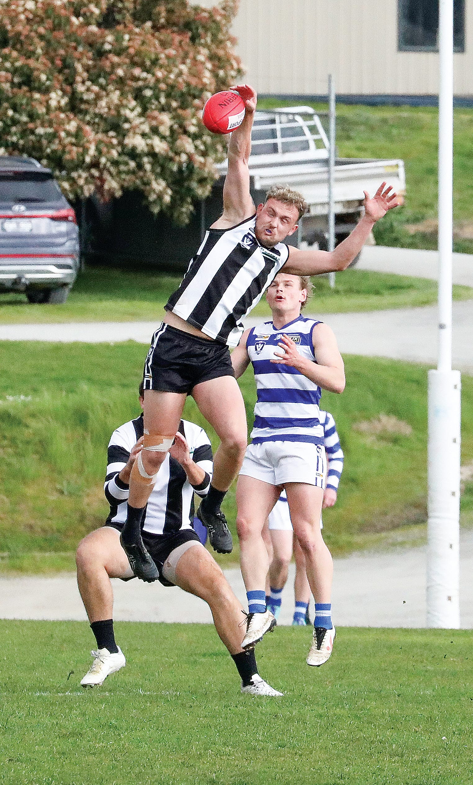 Magpies ruffled by the finals bound Cats