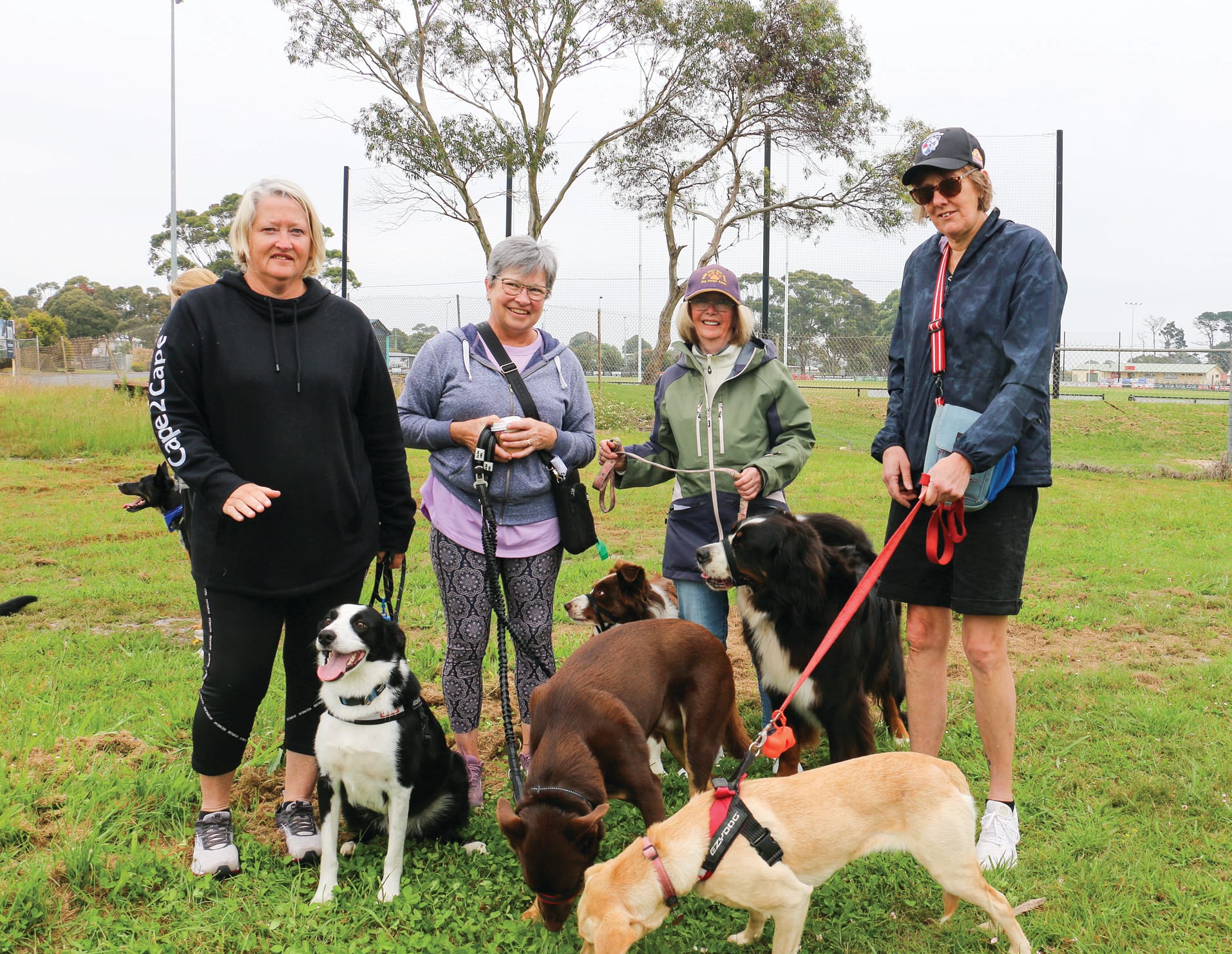 Tracey Wain, Susan Banks, Vicki Clarke and Carol Hamilton participated in the Paws for a Cause dog walking event on Sunday morning. tkPawsForACause02_4723