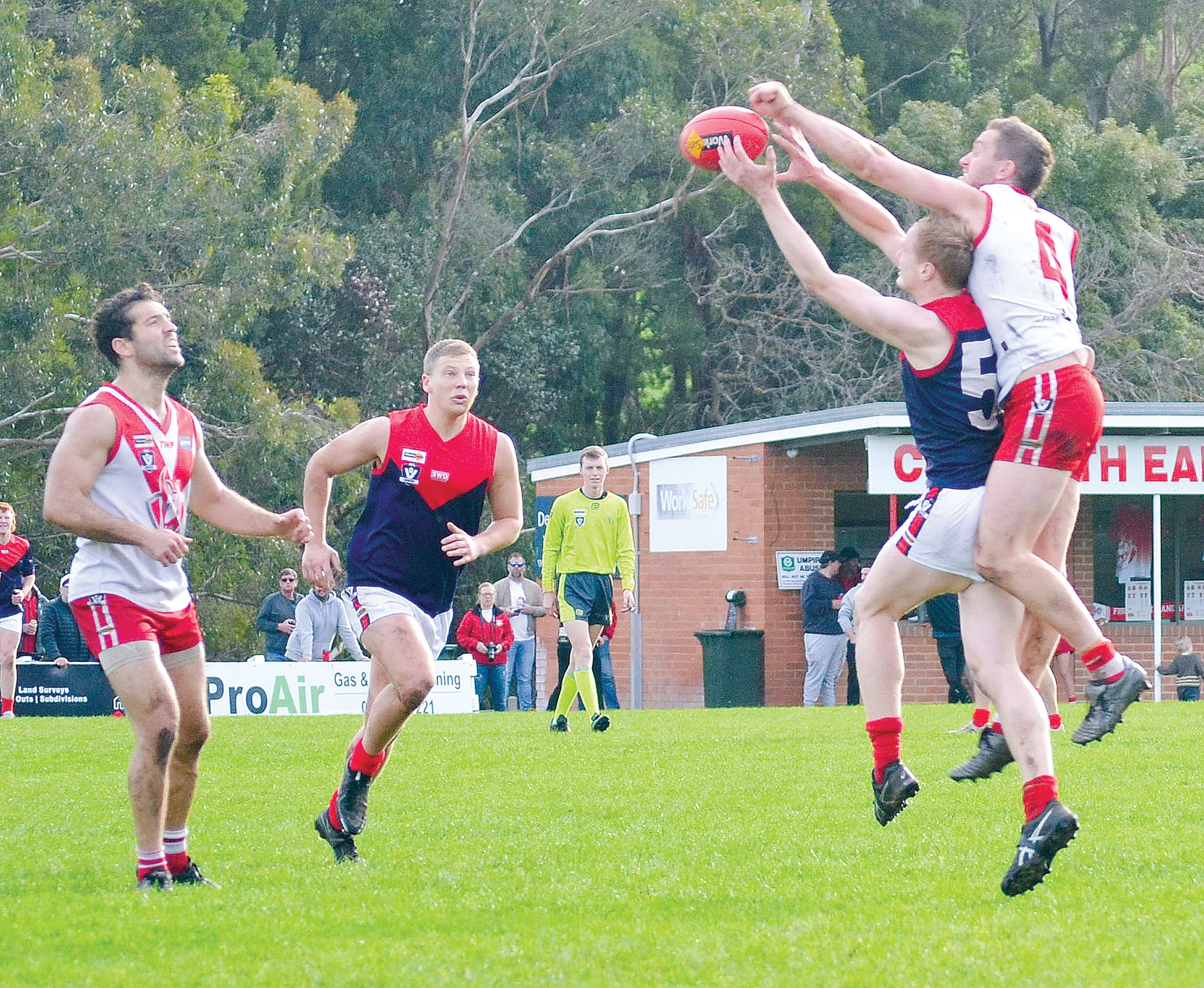 Kangaroos get the upset