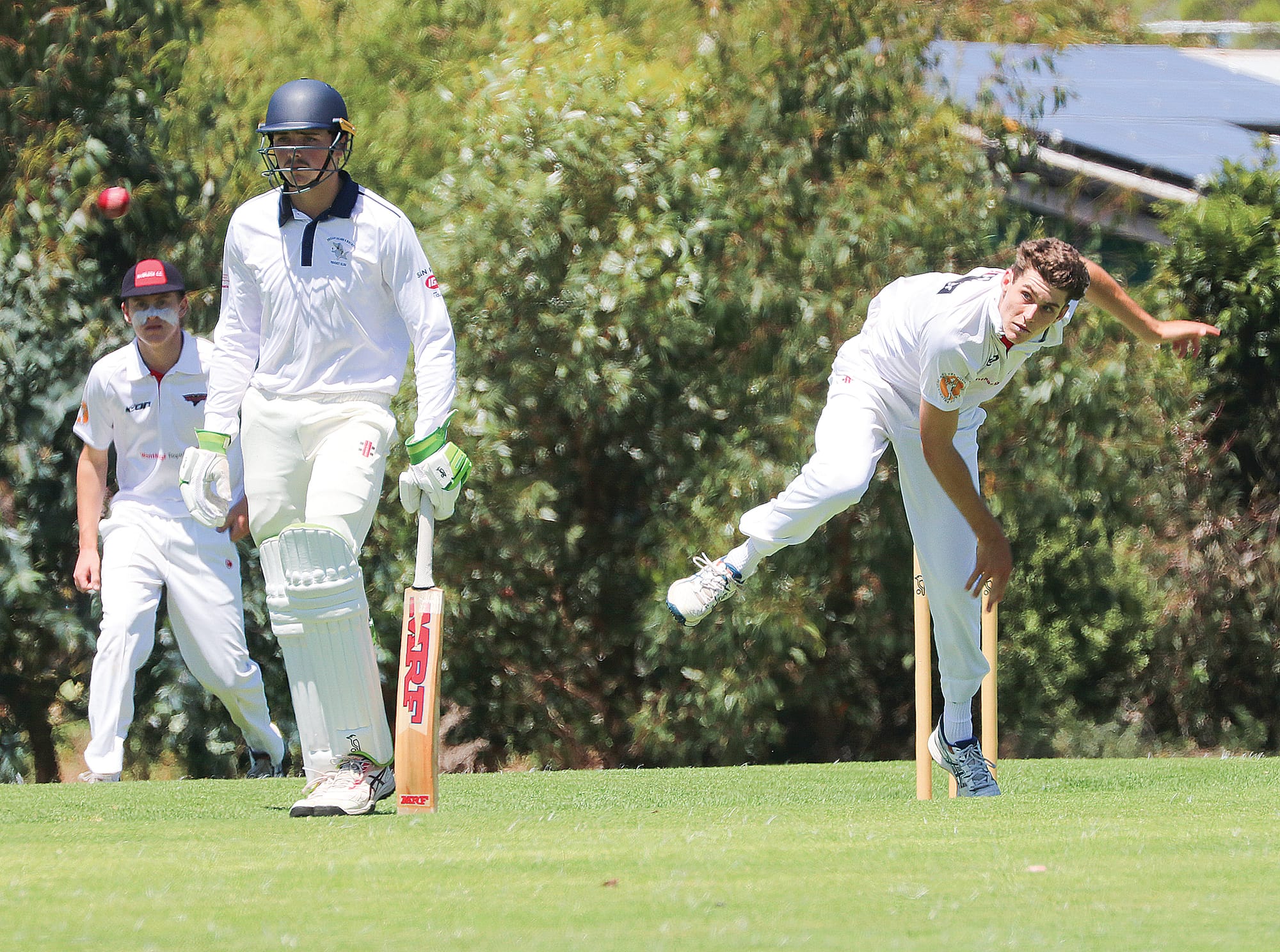 Sharks set to defend a strong total