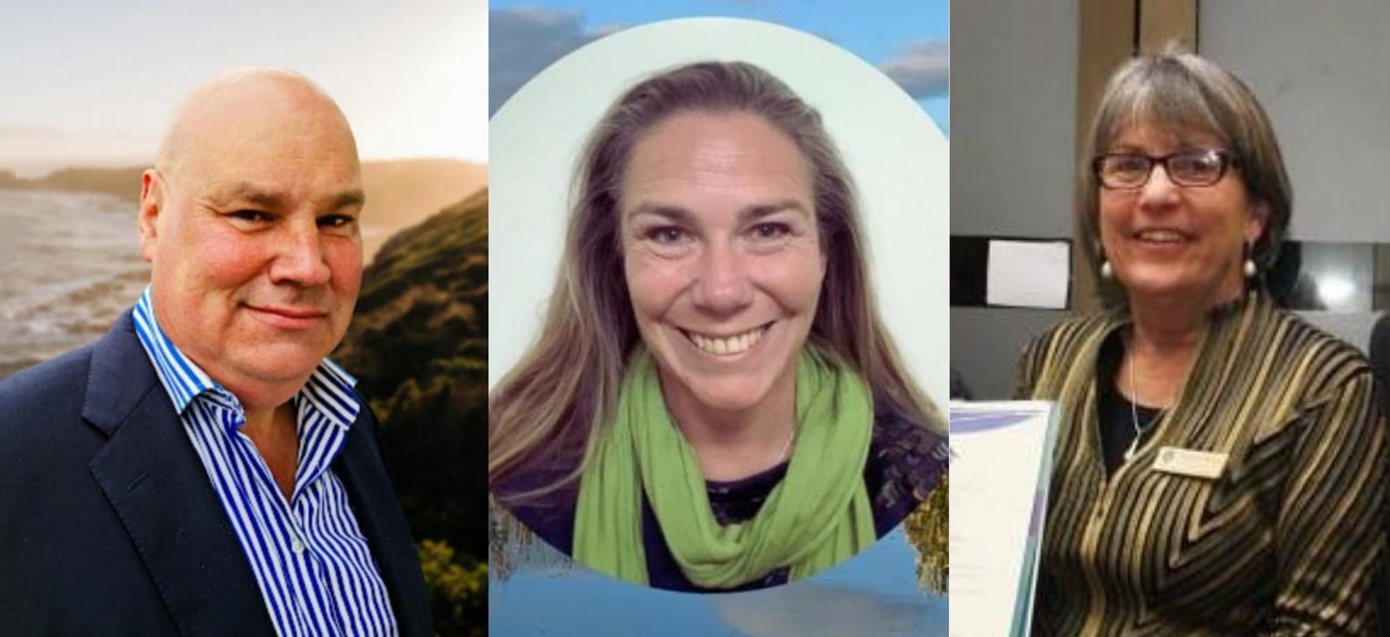 At least one ‘green’ councillor from Coastal Prom