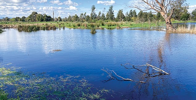 Generate income through ecological assets, carbon offsets