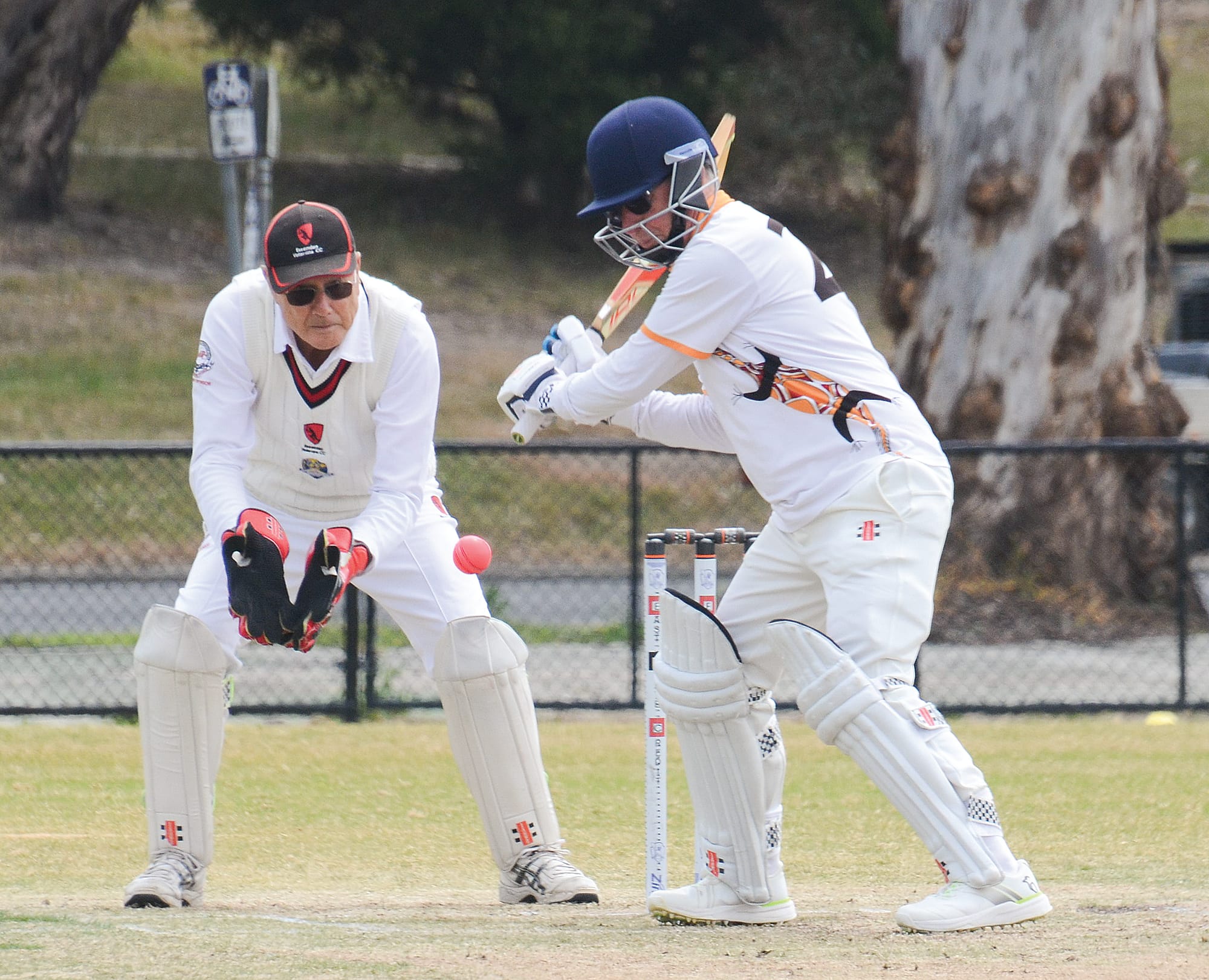 Goannas tie with Essendon