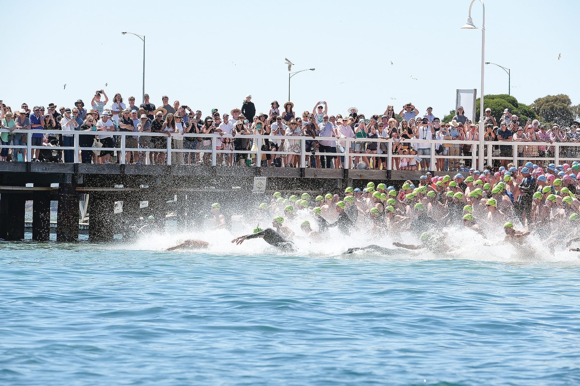 Biggest lineup ever in a Victorian Aquathon