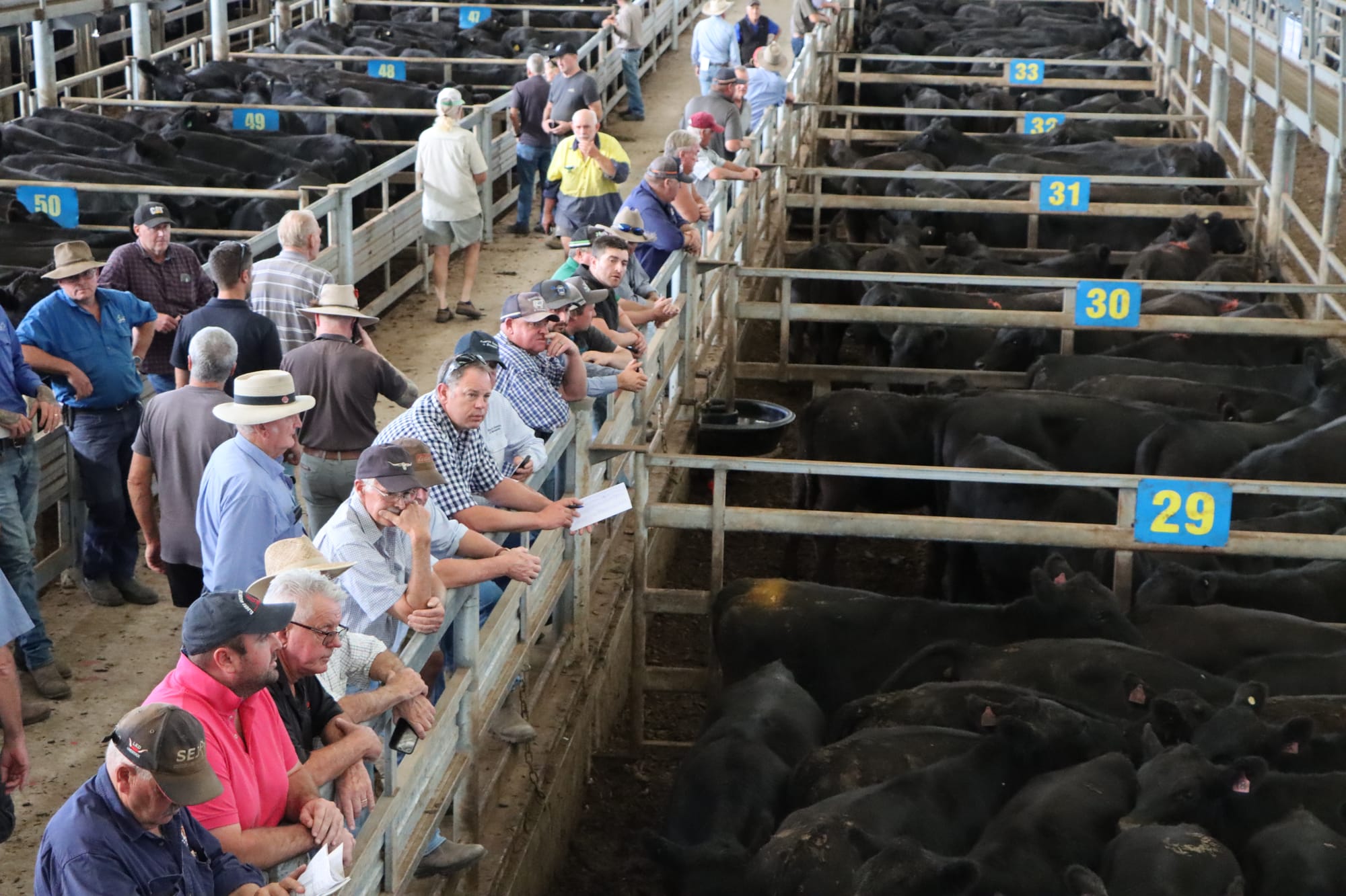 Australian beef hit by Trump tariff announcement