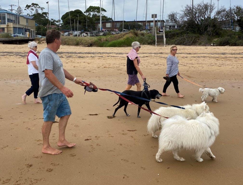 Councillors bark and growl at off-leash 'clean up'