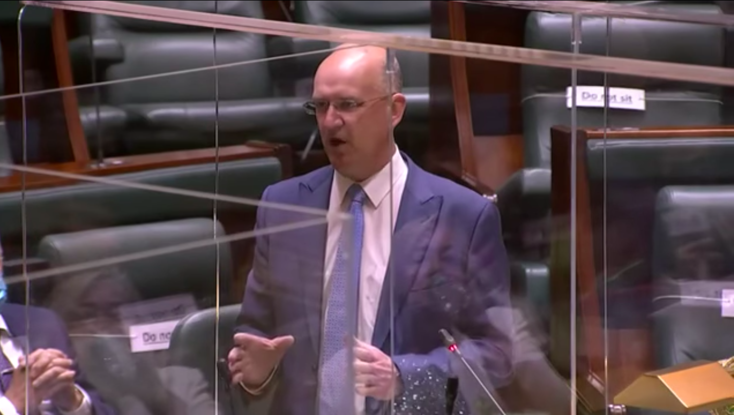 ‘Draconian’ pandemic legislation goes too far: MP
