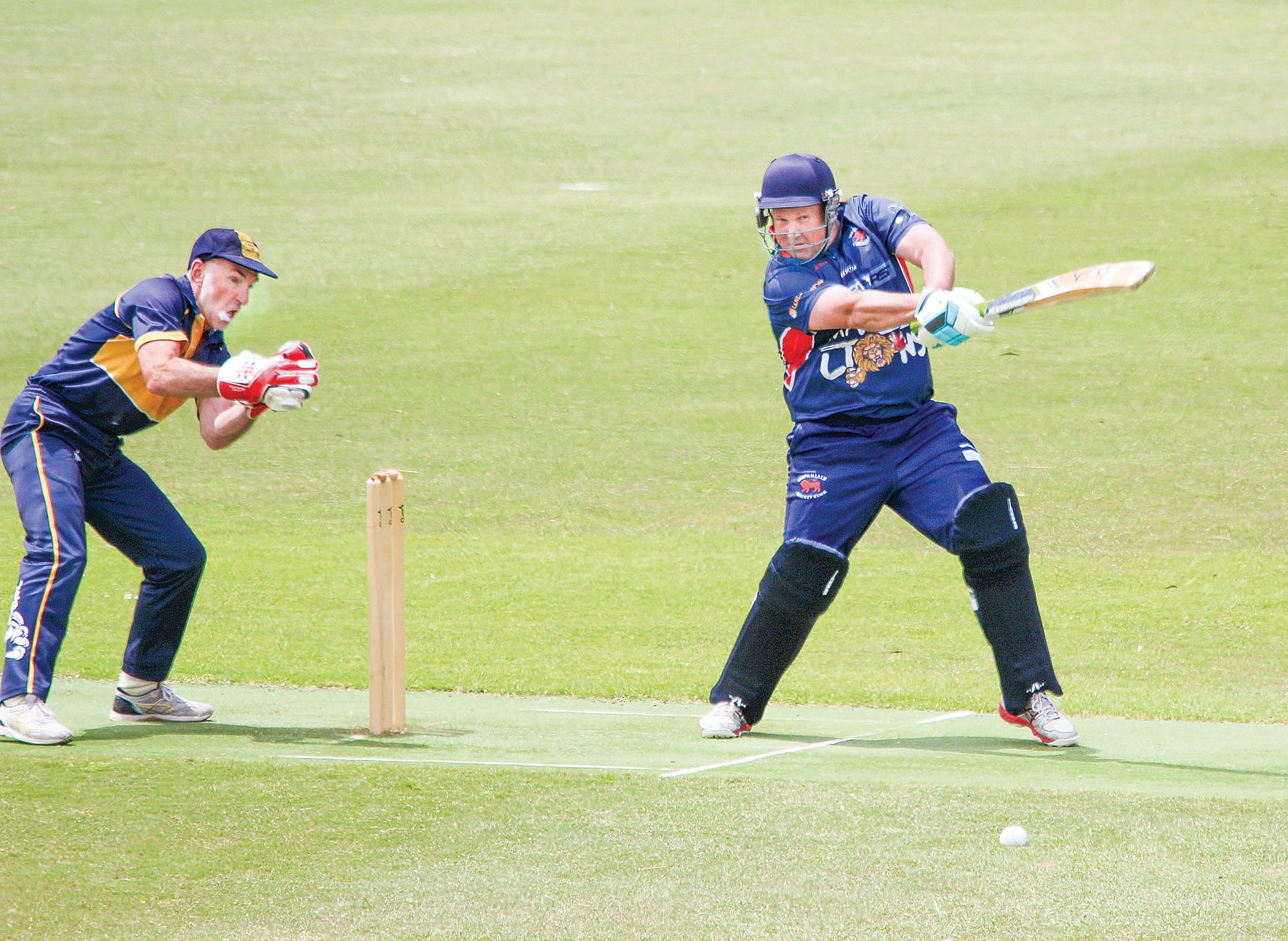 Cougars keep the Imps under control