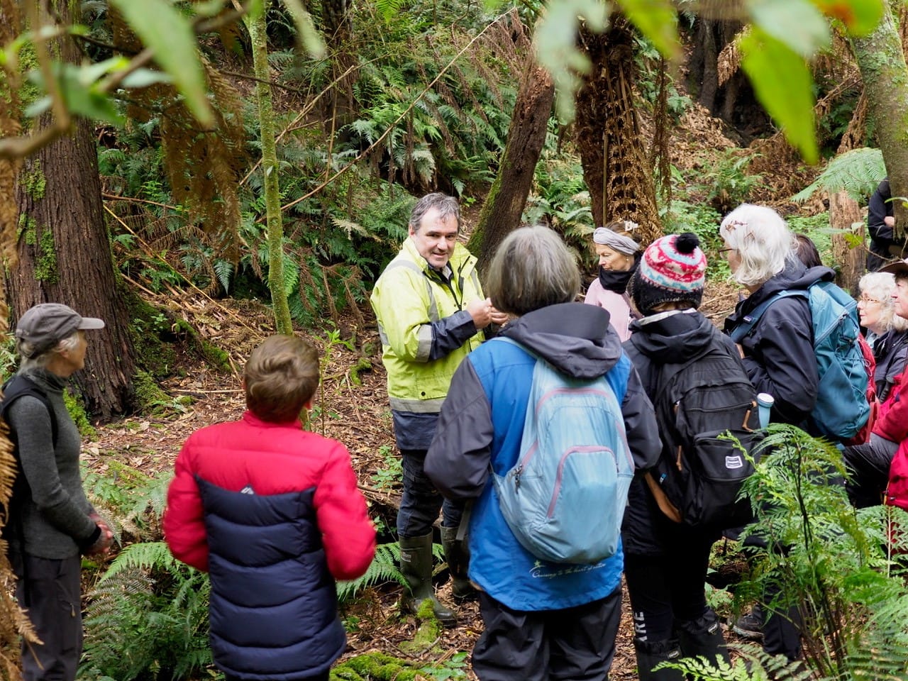 Tree Ferns and Crayfish, a perfect art and science cocktail