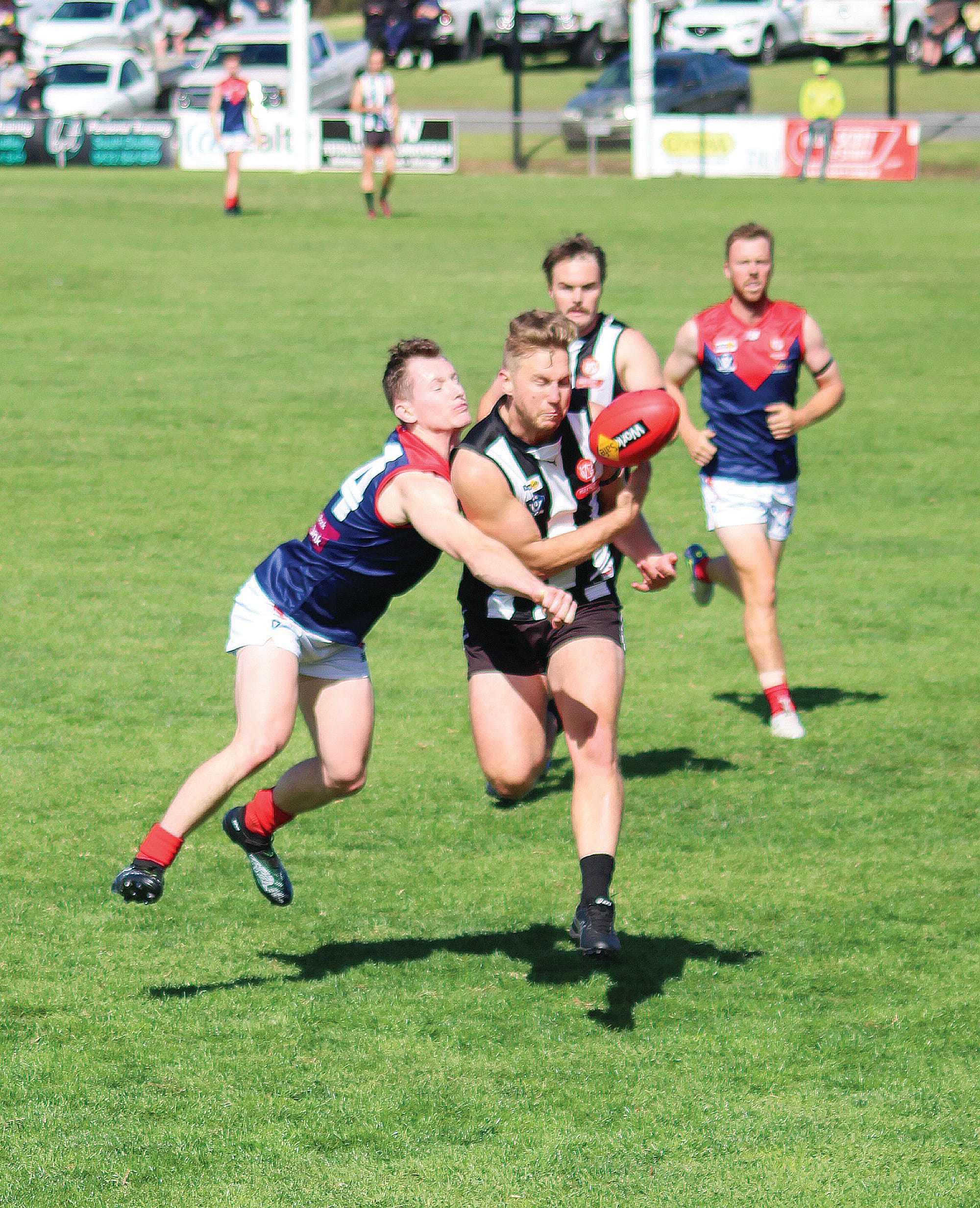 Magpies’ nemesis strikes again