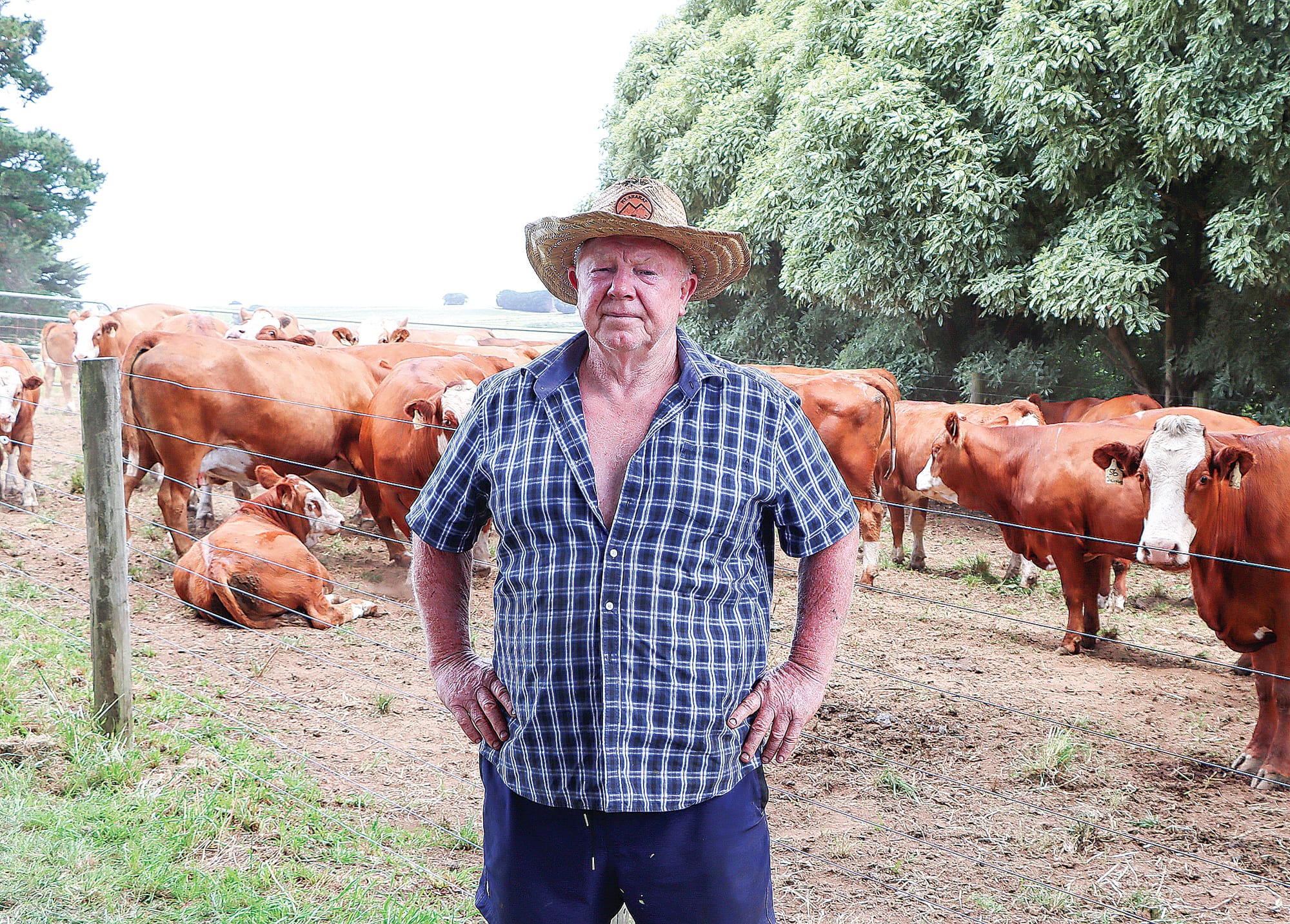 John’s passion for cattle produces only the best