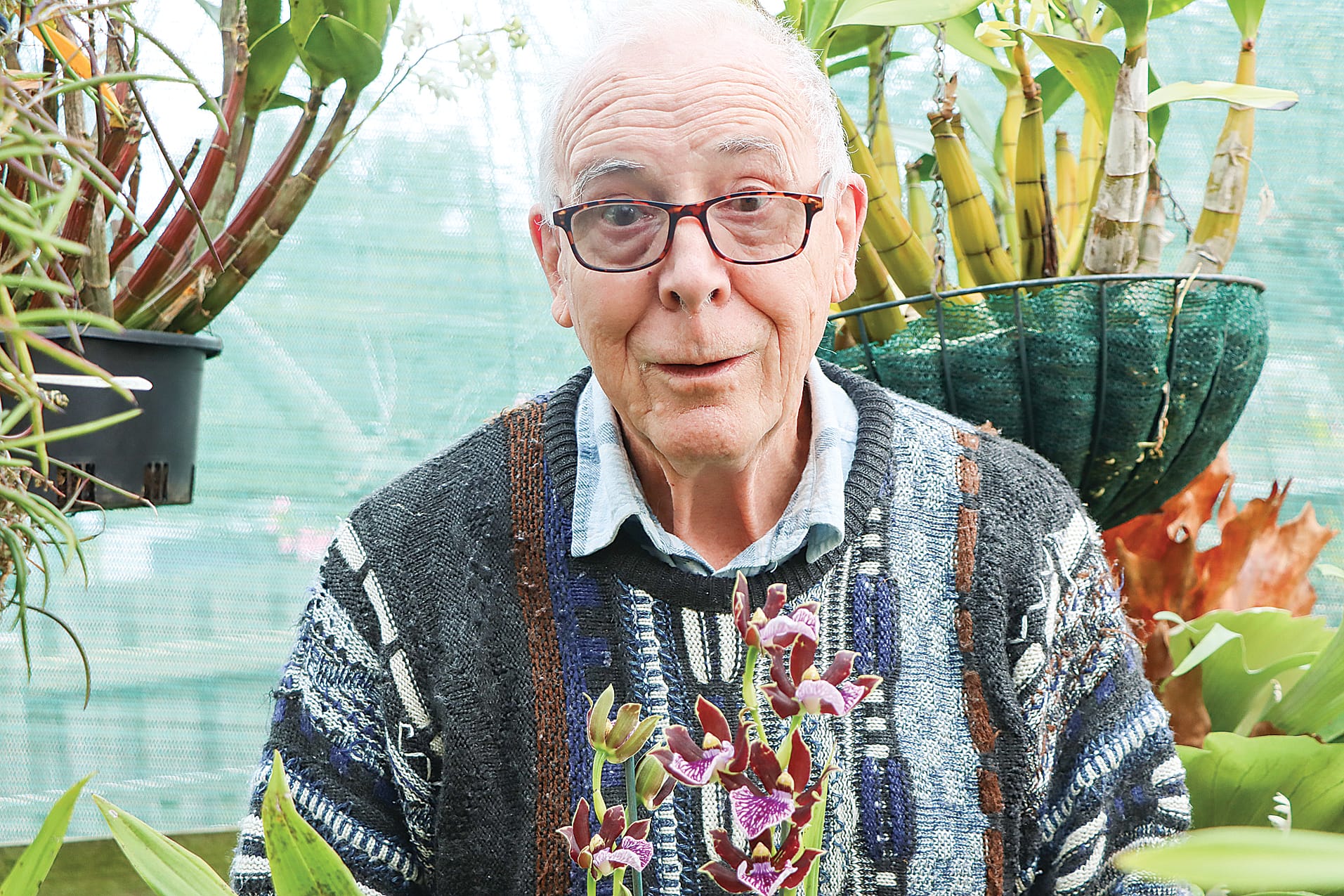 34th Annual South Gippsland Orchid Show
