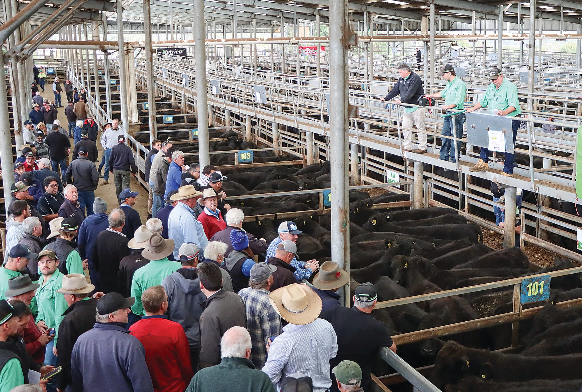 Koonwarra store sale attendees follow Friday’s action. A15_2023