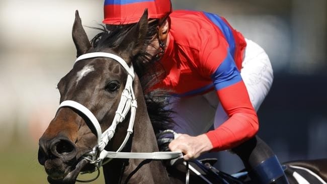 Latrobe City leads race no one wants to win