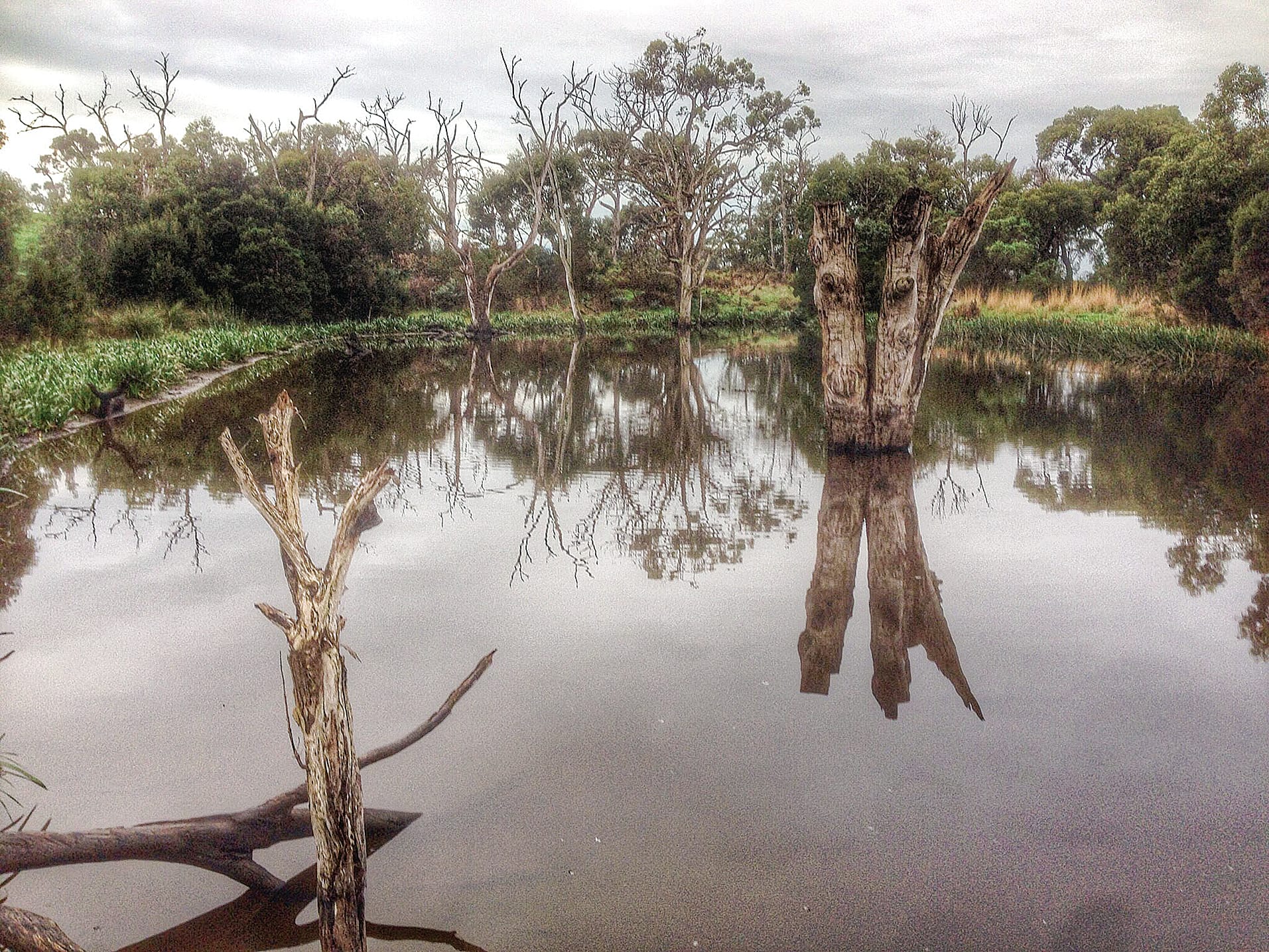 Inverloch wetland dispute heads to VCAT