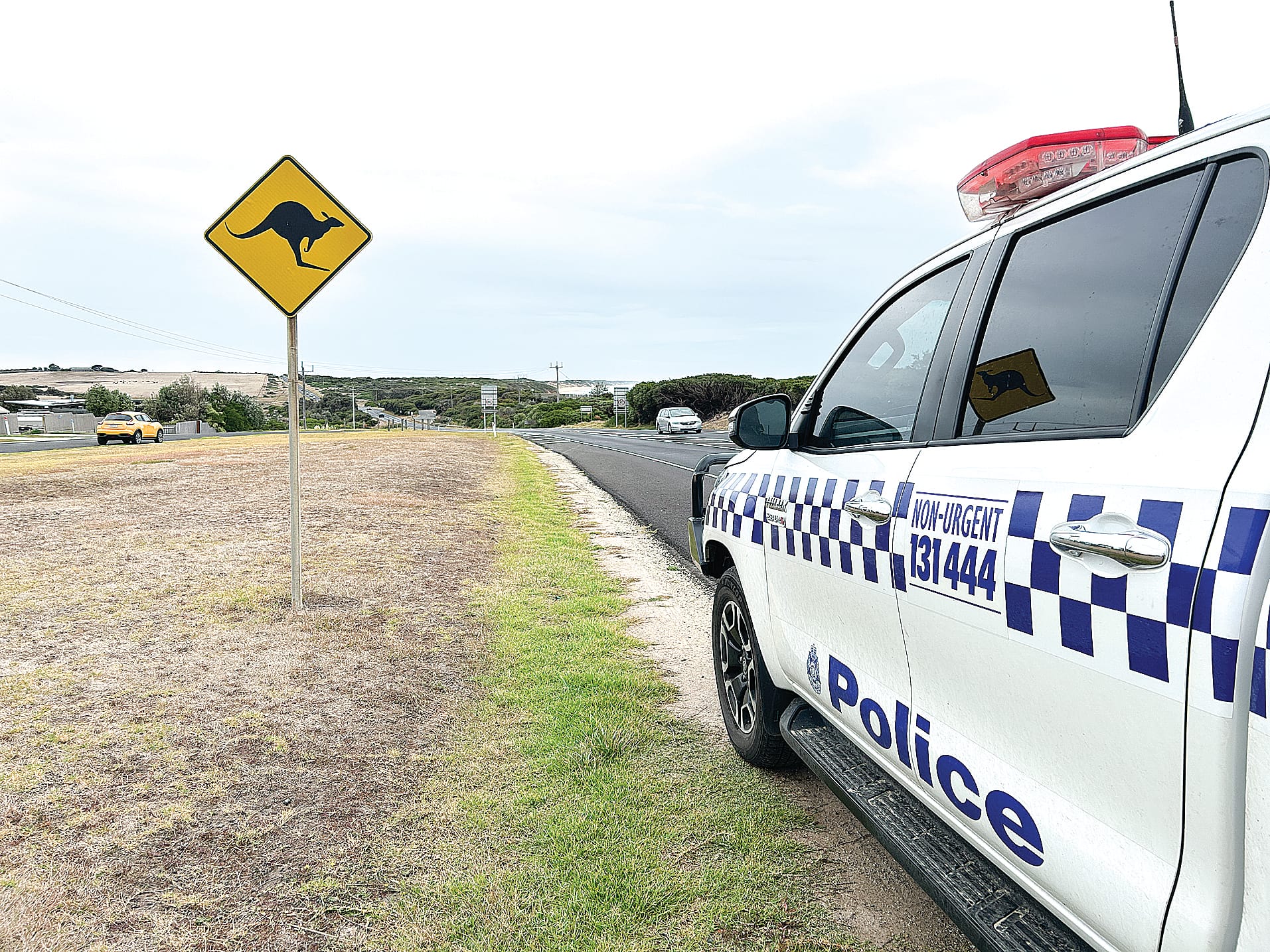 Police are urging drivers to take extra care when driving after an increase in animal callouts.