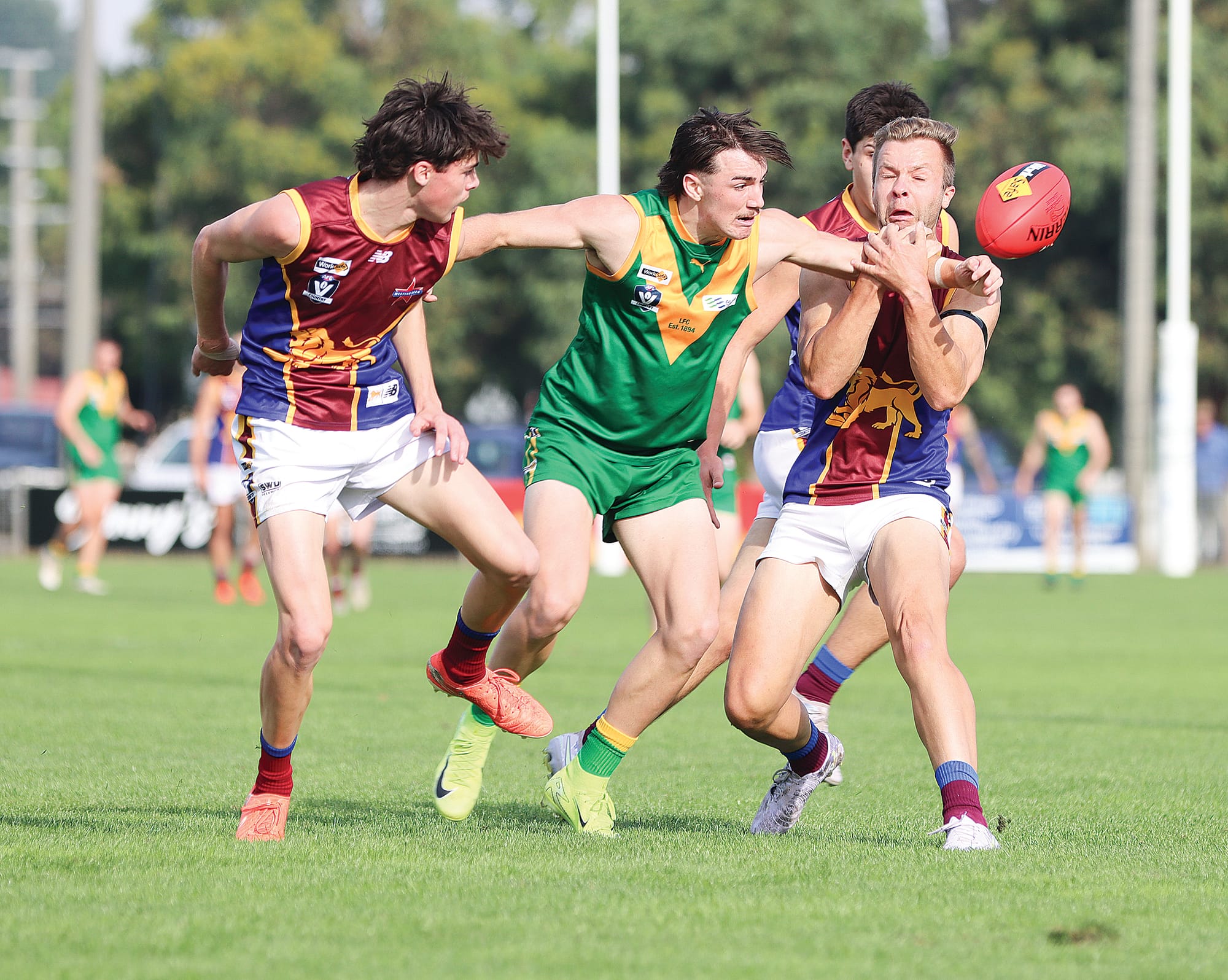 Lions roar against Parrots in second half