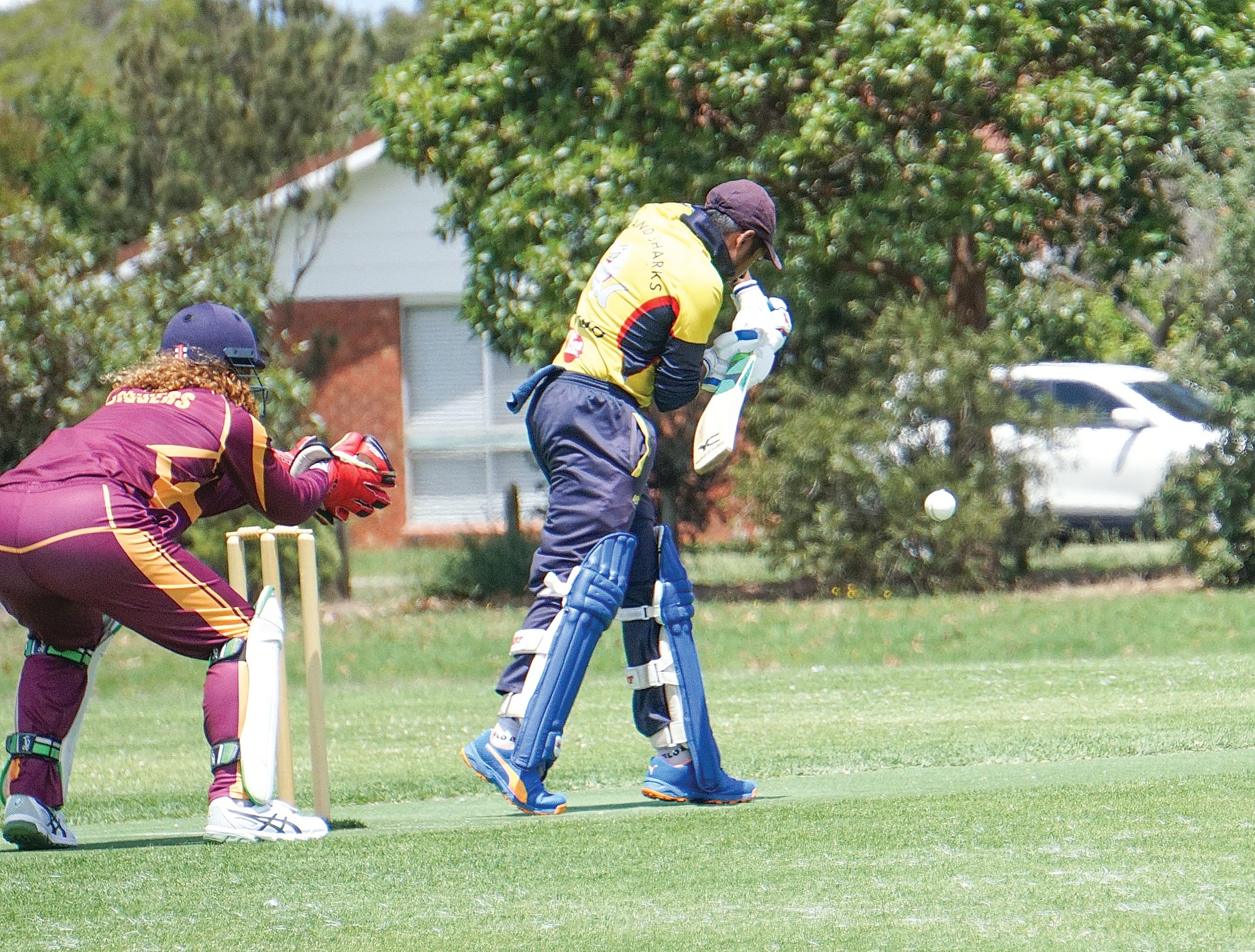 Shiran Rathnayake set the pace for the Sharks. 