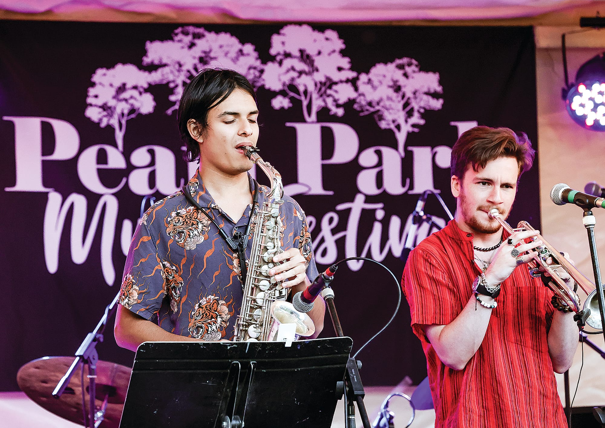 Stockyard Creek ready for Pearl Park music festival