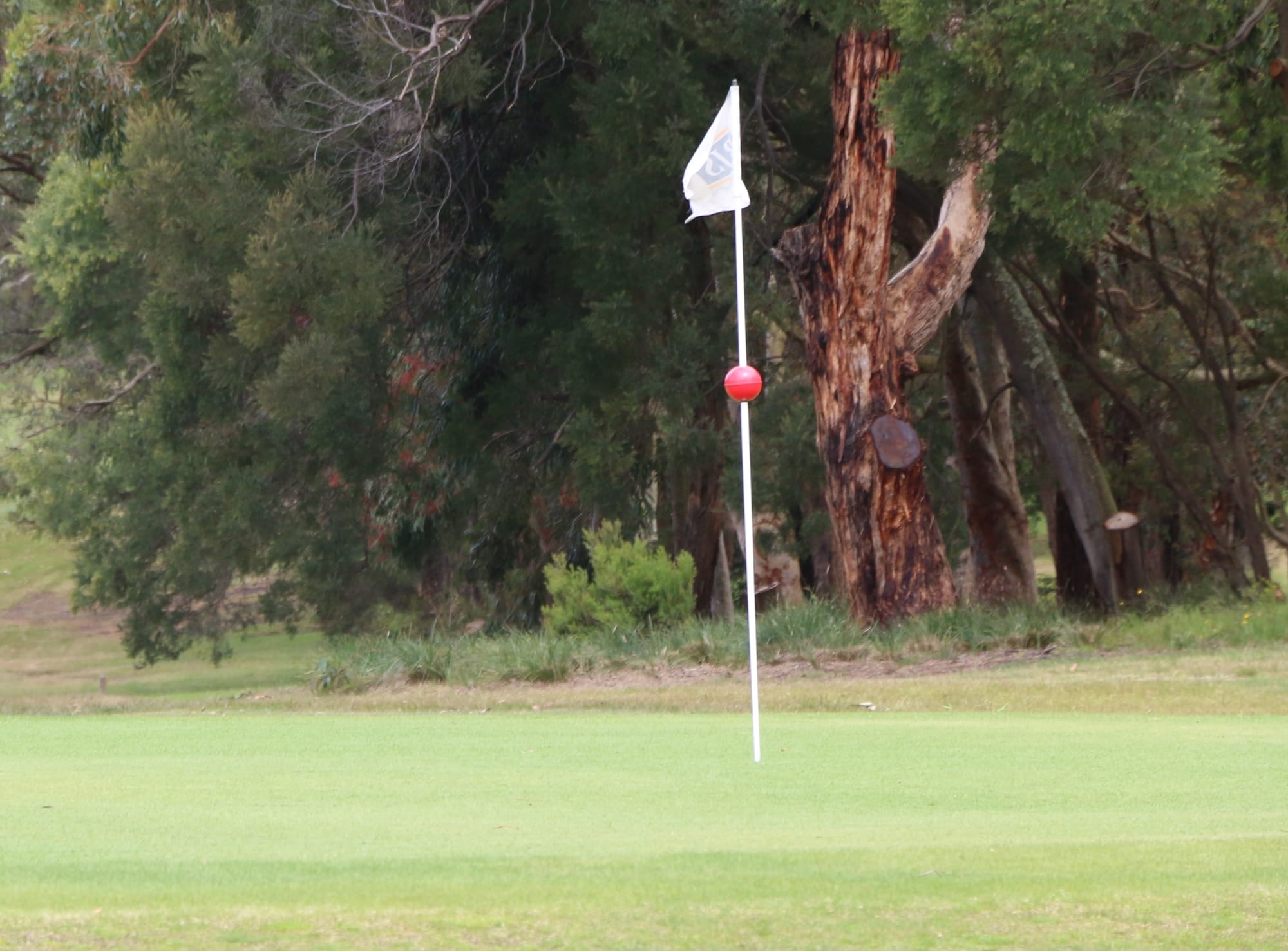 Gotta go golfing - 10 great courses to enjoy