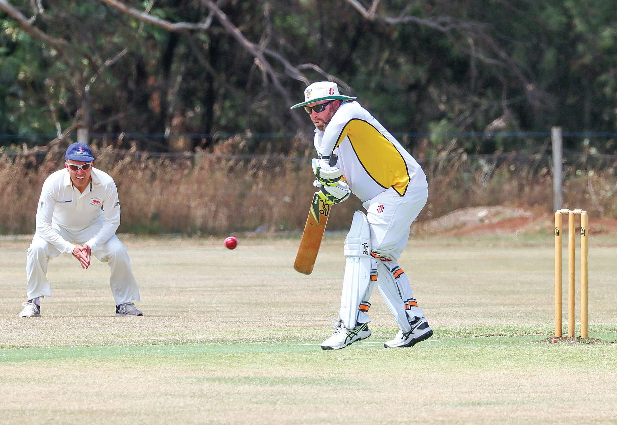 Huge innings for the Stingrays