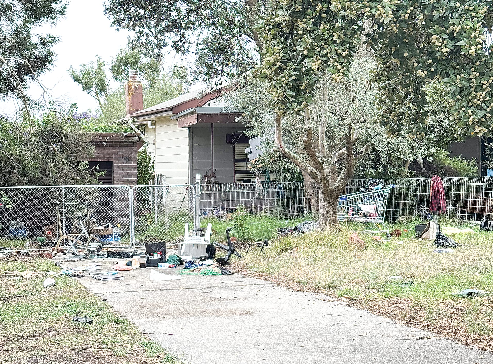 Hagelthorn hooligans as frustration grows over troublemaking squatters