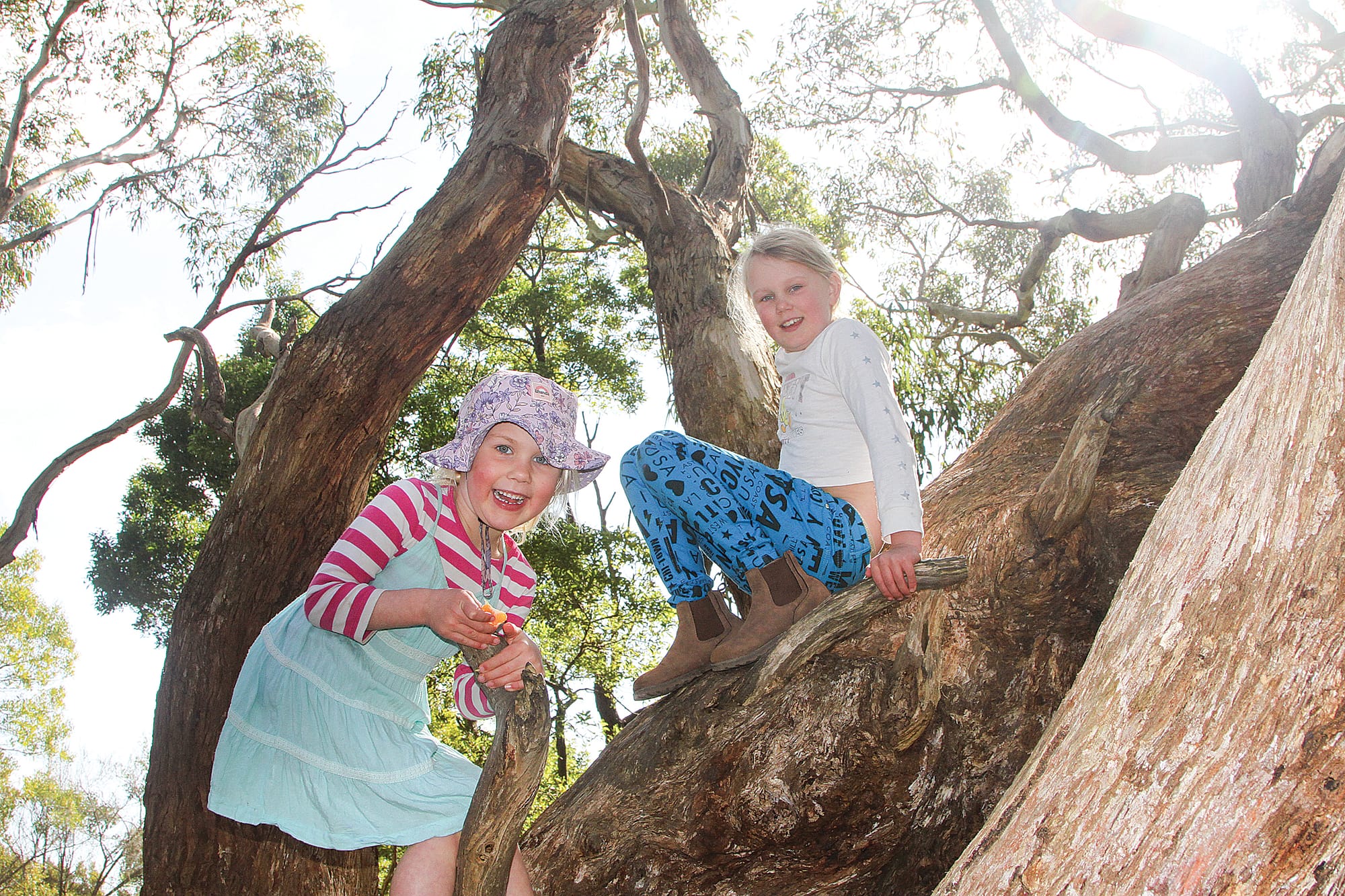 Sweltering hot amongst the street trees