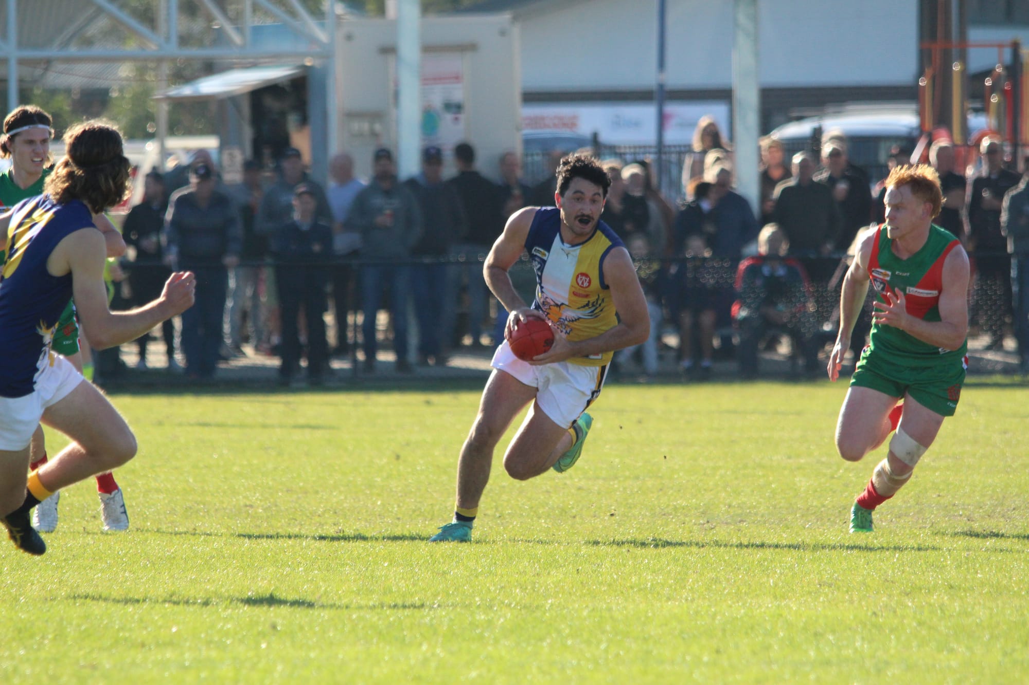 Battle of the seabirds headlines Road Safety Round