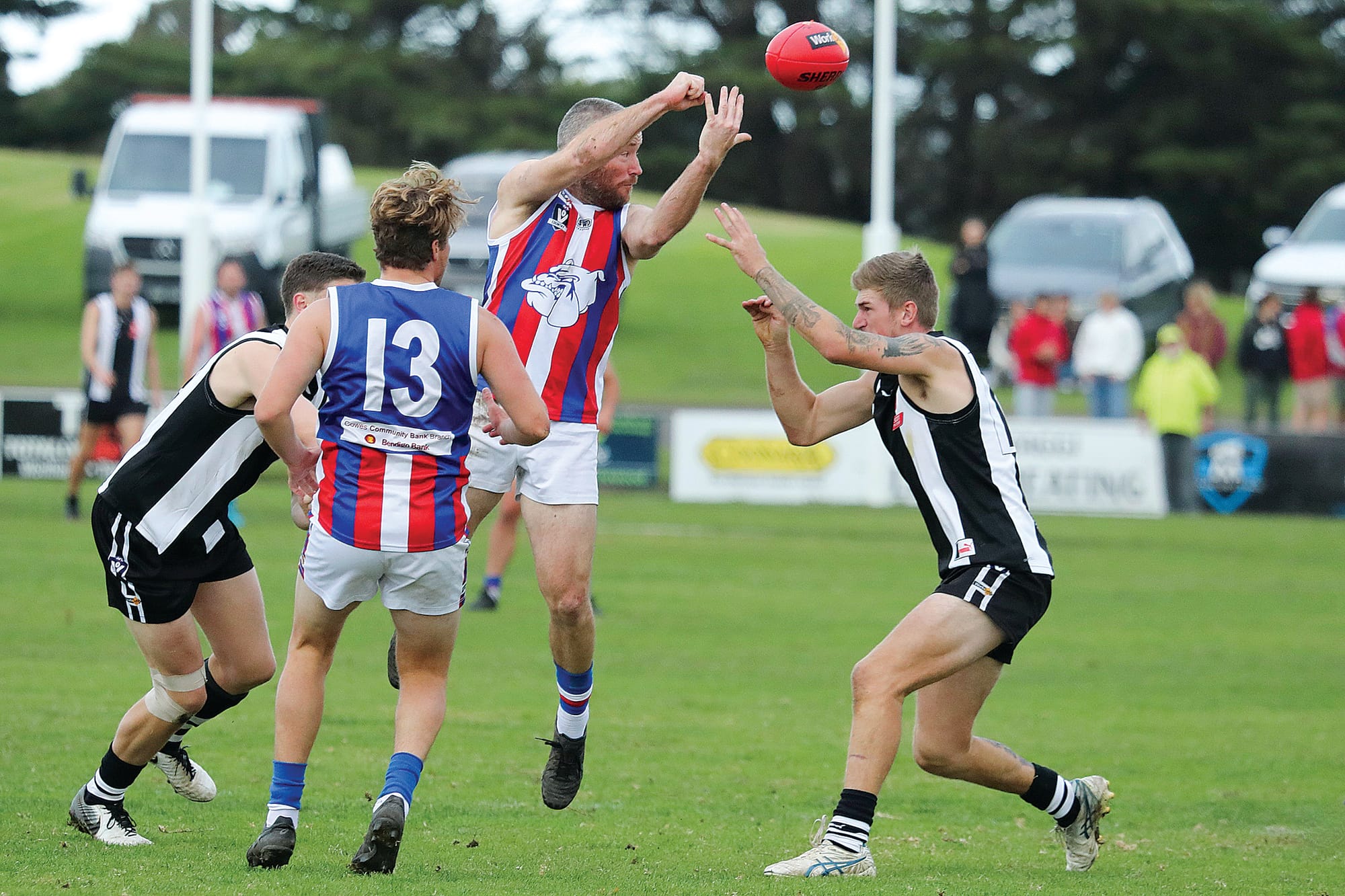 Magpies wings clipped by Bulldogs victory at the Daly