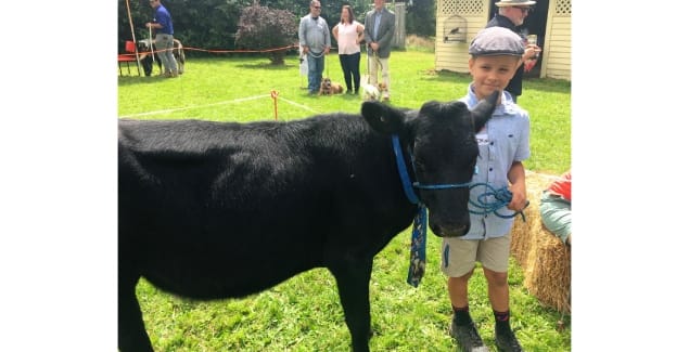 Arawata Pet Day returns this weekend