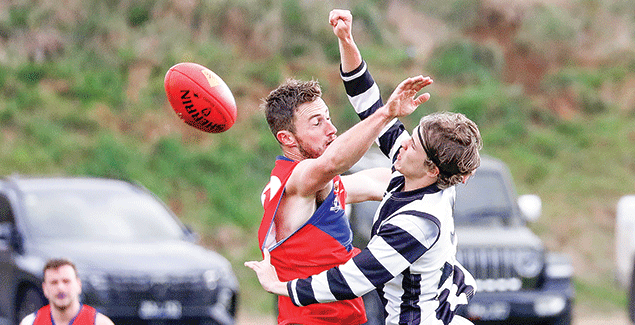 Magpies fall to in-form Buln Buln