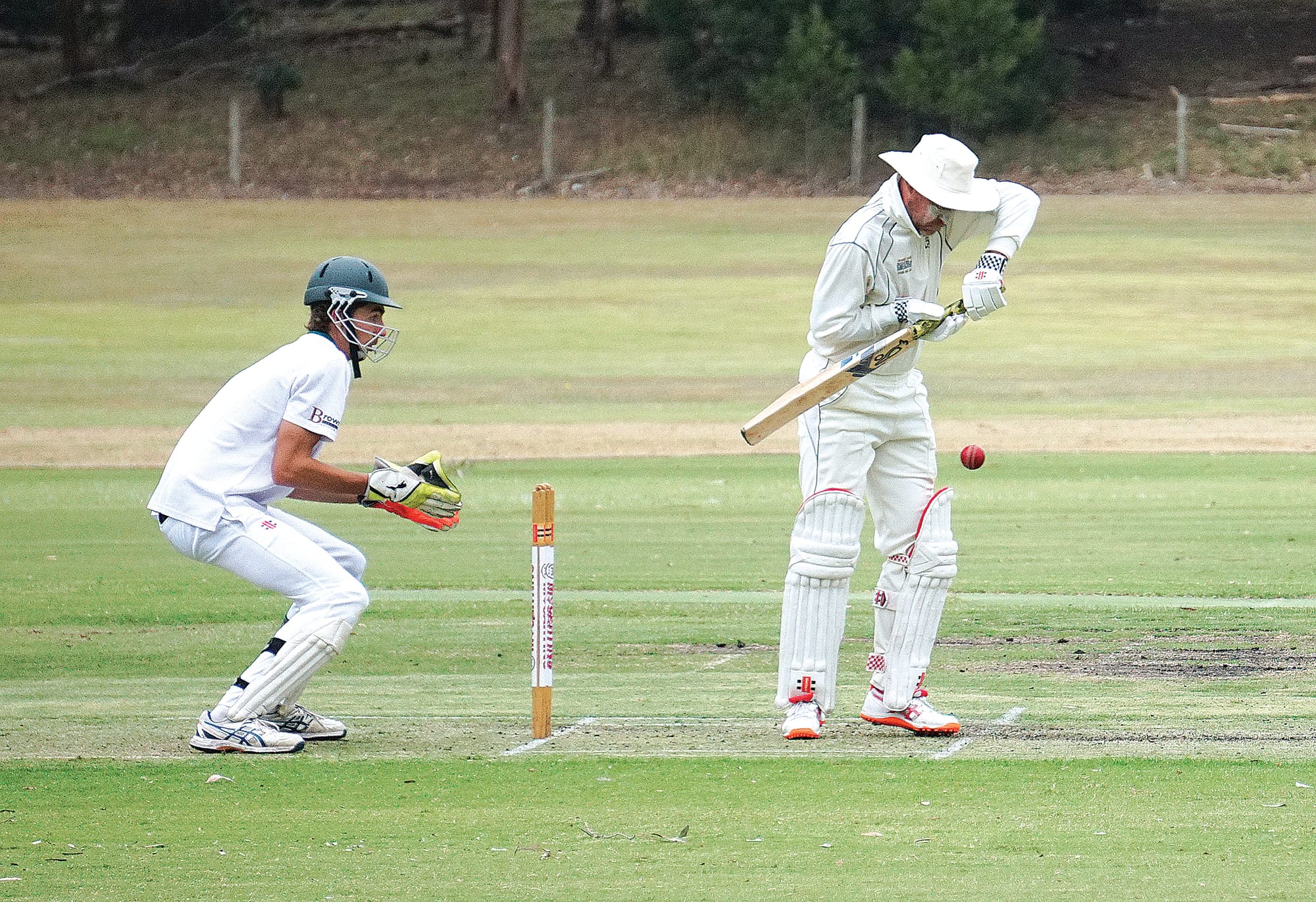 Sharks dominate MDU on first day