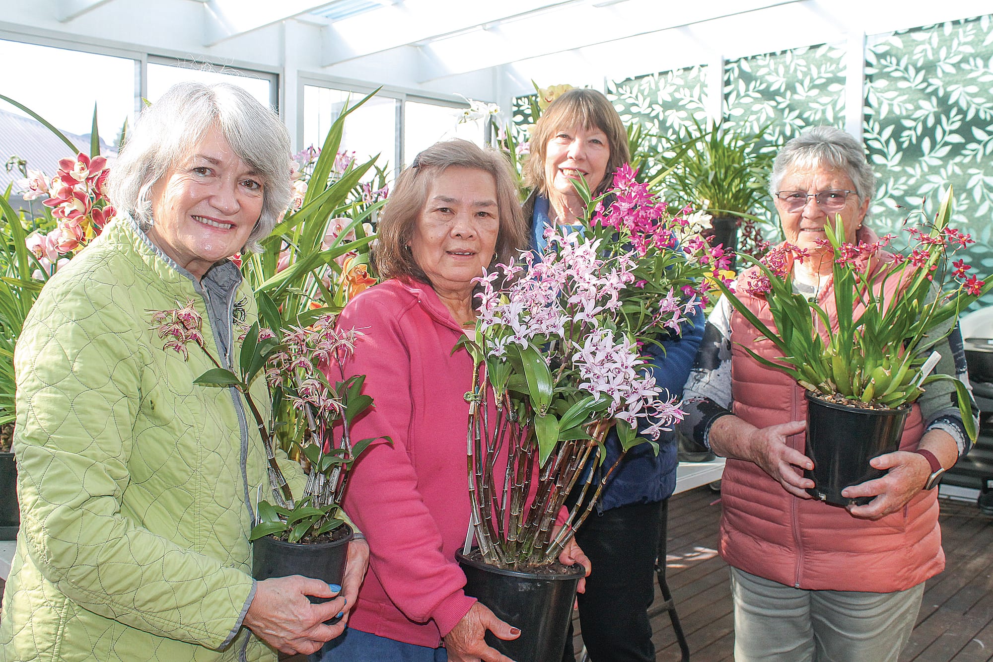 A riot of colour and fragrance at 35th Annual South Gippsland Orchid Show