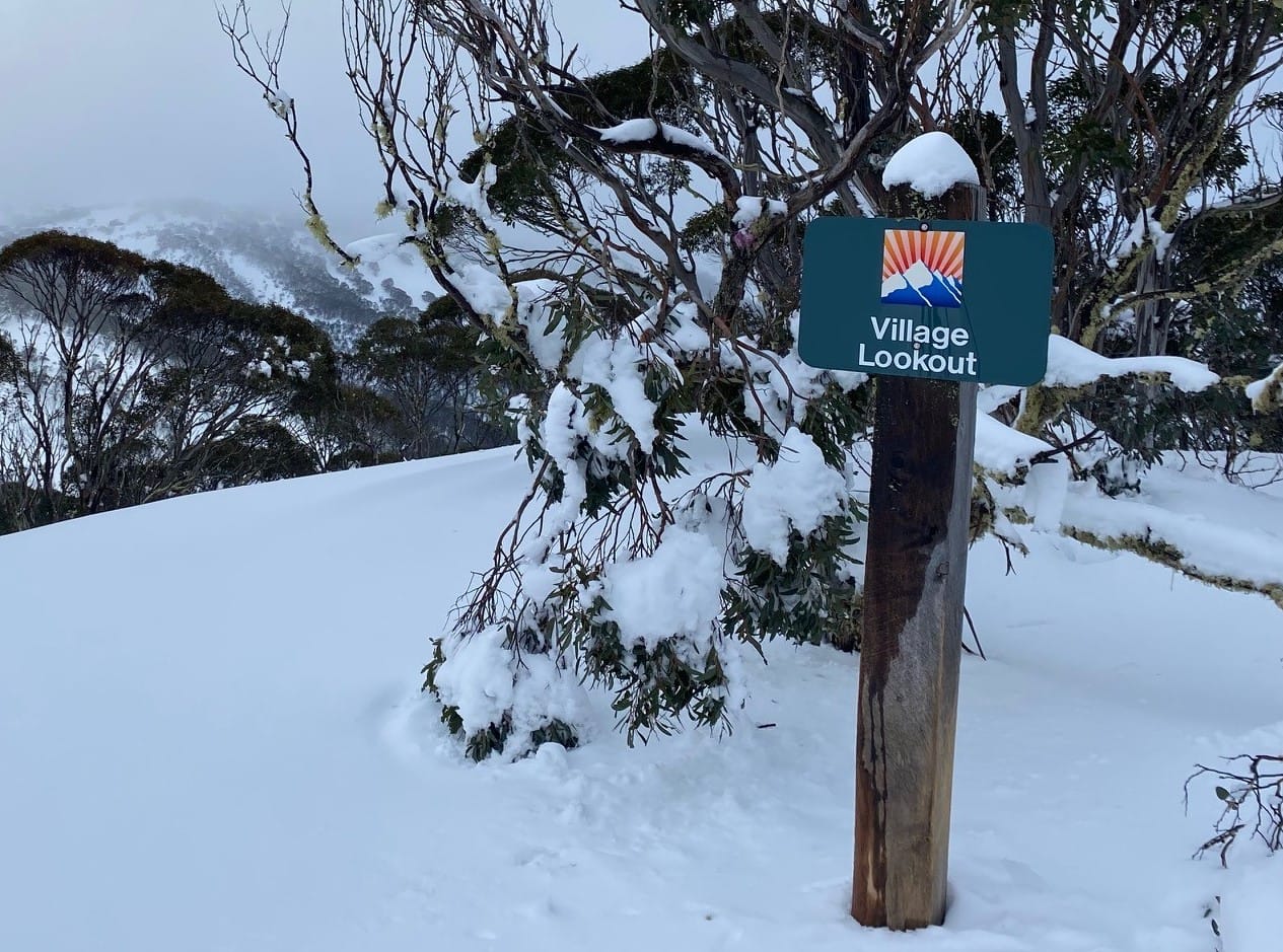 Bass Coast CEO Ali Wastie has a new role as Chair of the new Board for Alpine Resorts Victoria. How this will impact her present role is unknown.