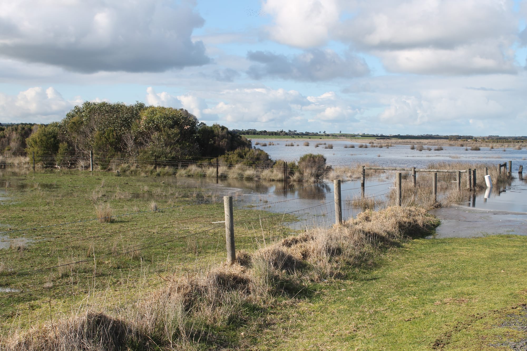 The Powlett River/Kugerungmome estuary on Bunurong Country near Kilcunda is a significant wetland that provides essential habitat for wildlife. B30_3125