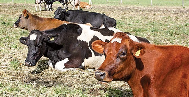 Record results for region’s farmers