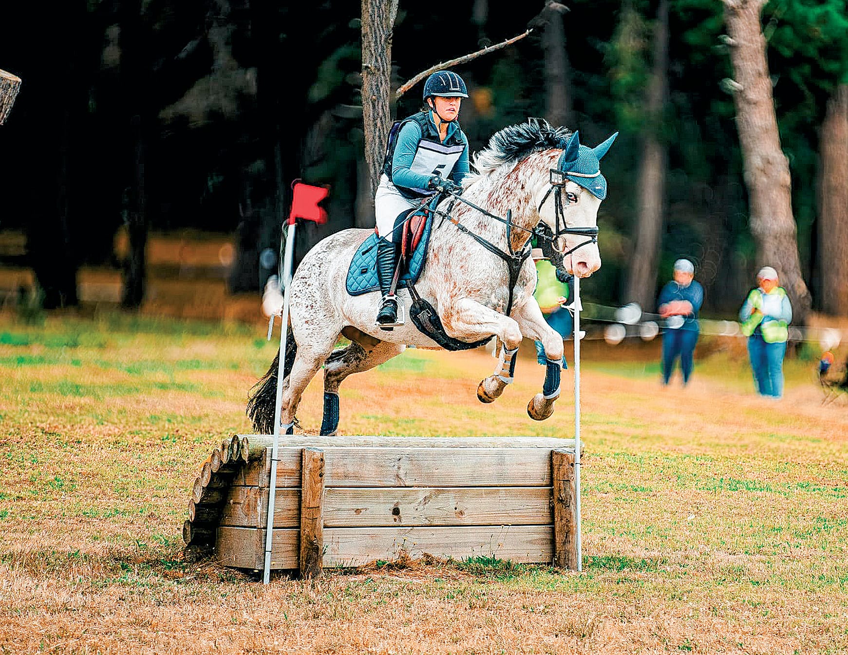 Ebony jumping pony, Coco during the combined training and horse trials competition. Photo: @capturemystrides