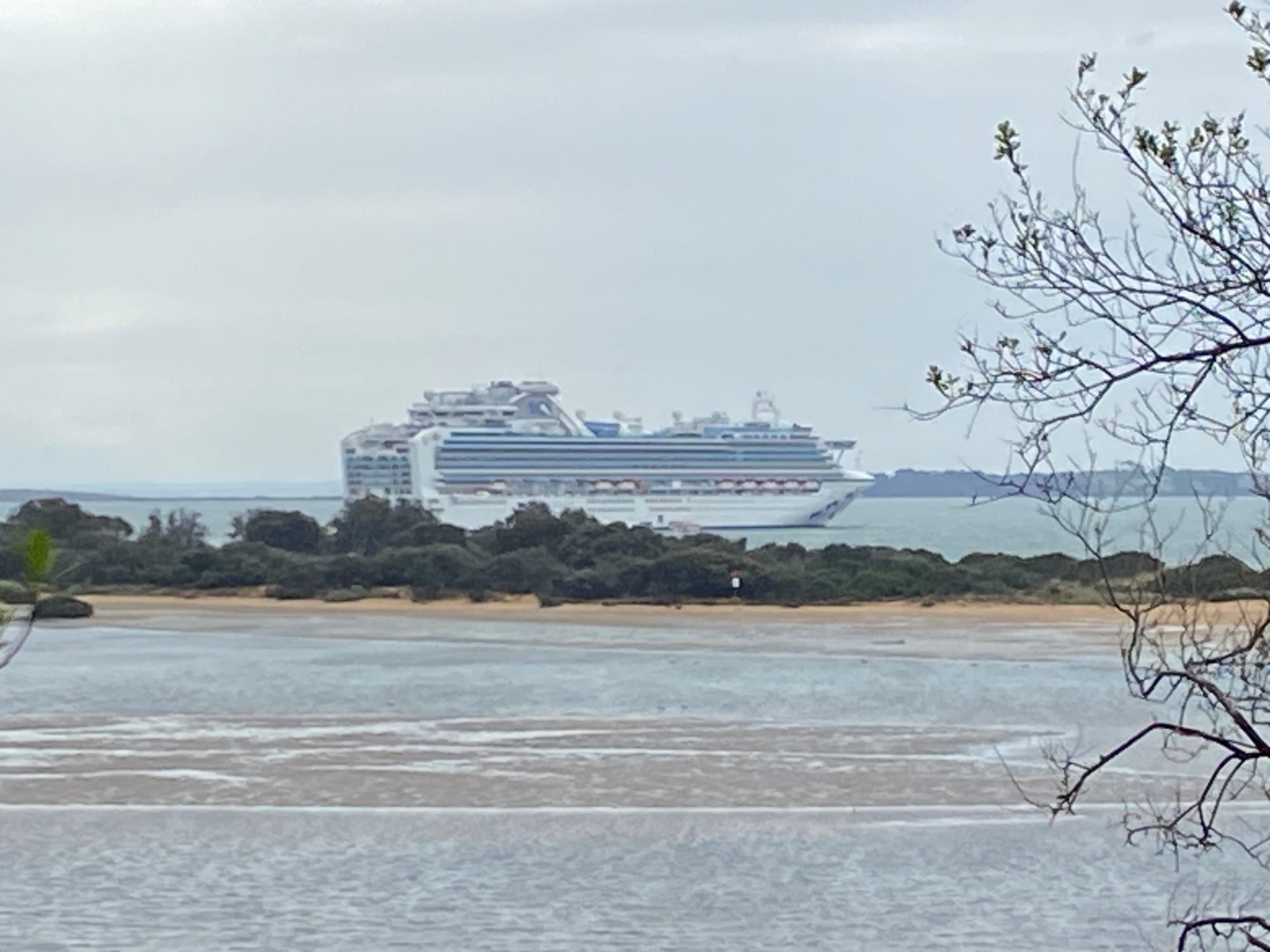Phillip Island's first cruise ship ‘missed it by that much’