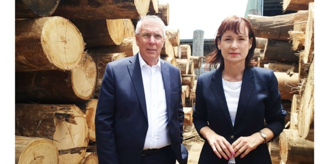 Lack of timber pallets could lead to supply disruptions
