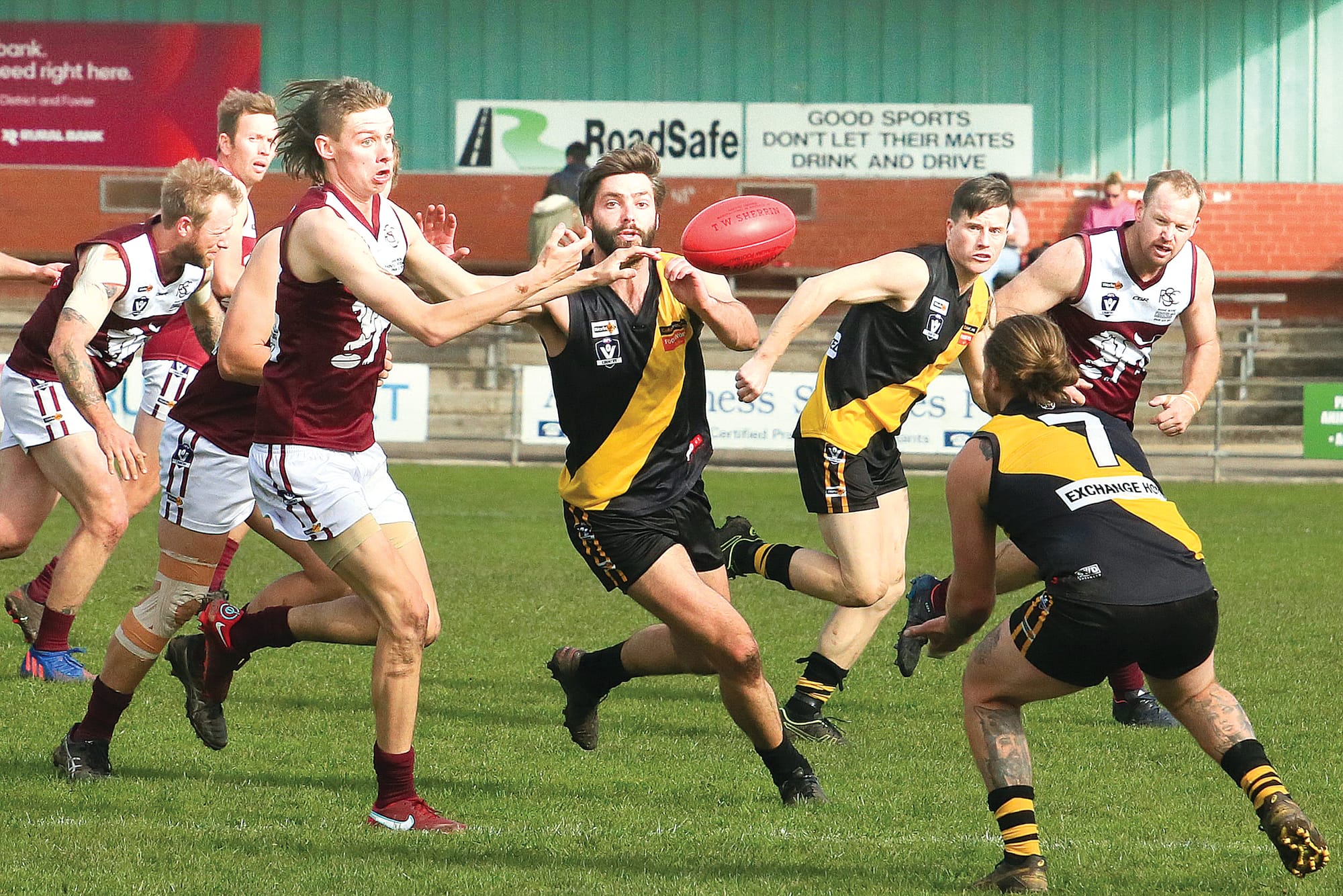 Tigers and Lions roar for finals position