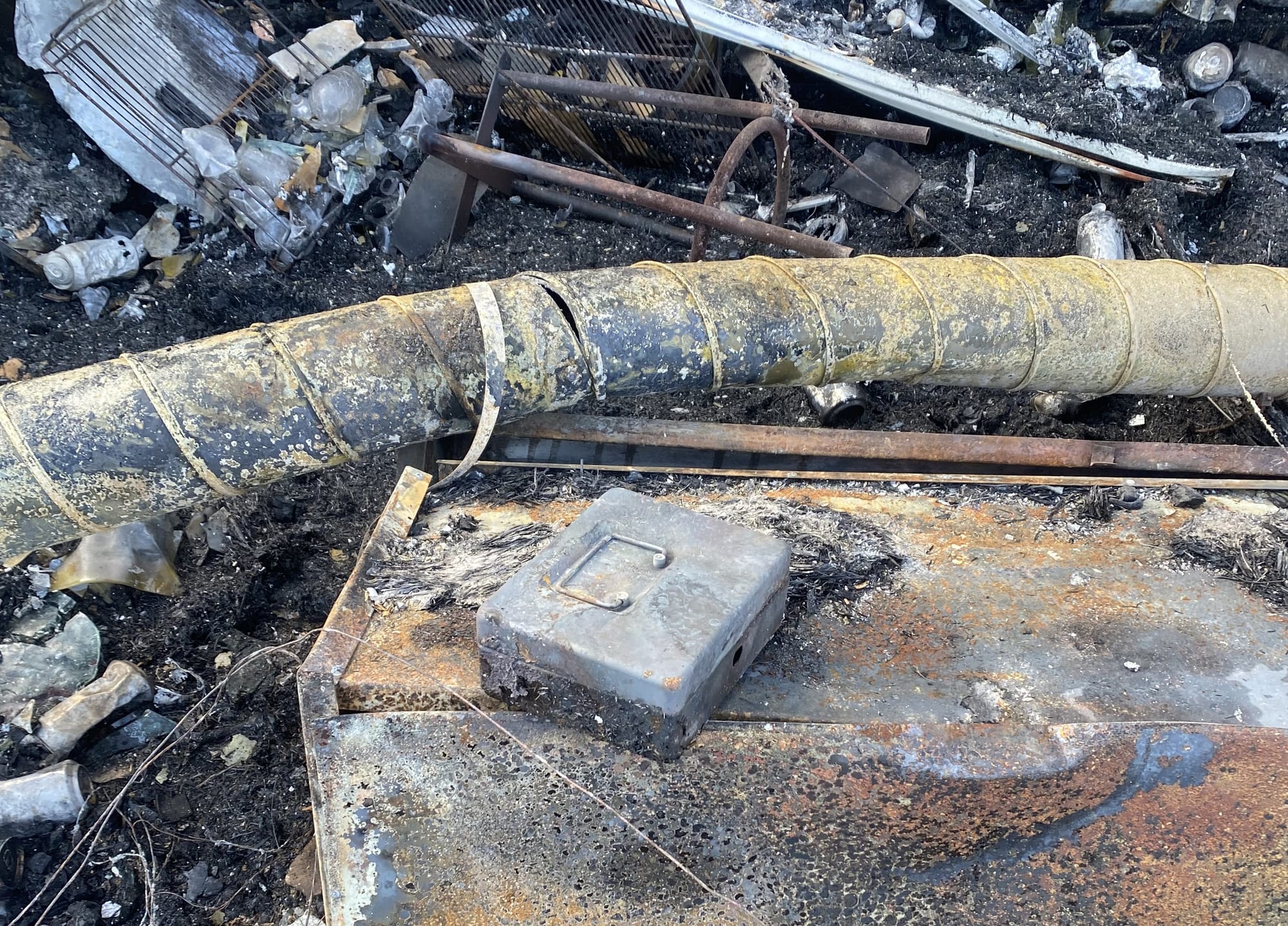 How Fish Creek is rising from the ashes